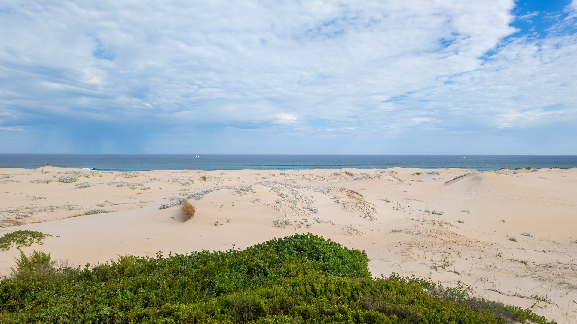 Prime Sea-view stands For Sale in Oyster Bay