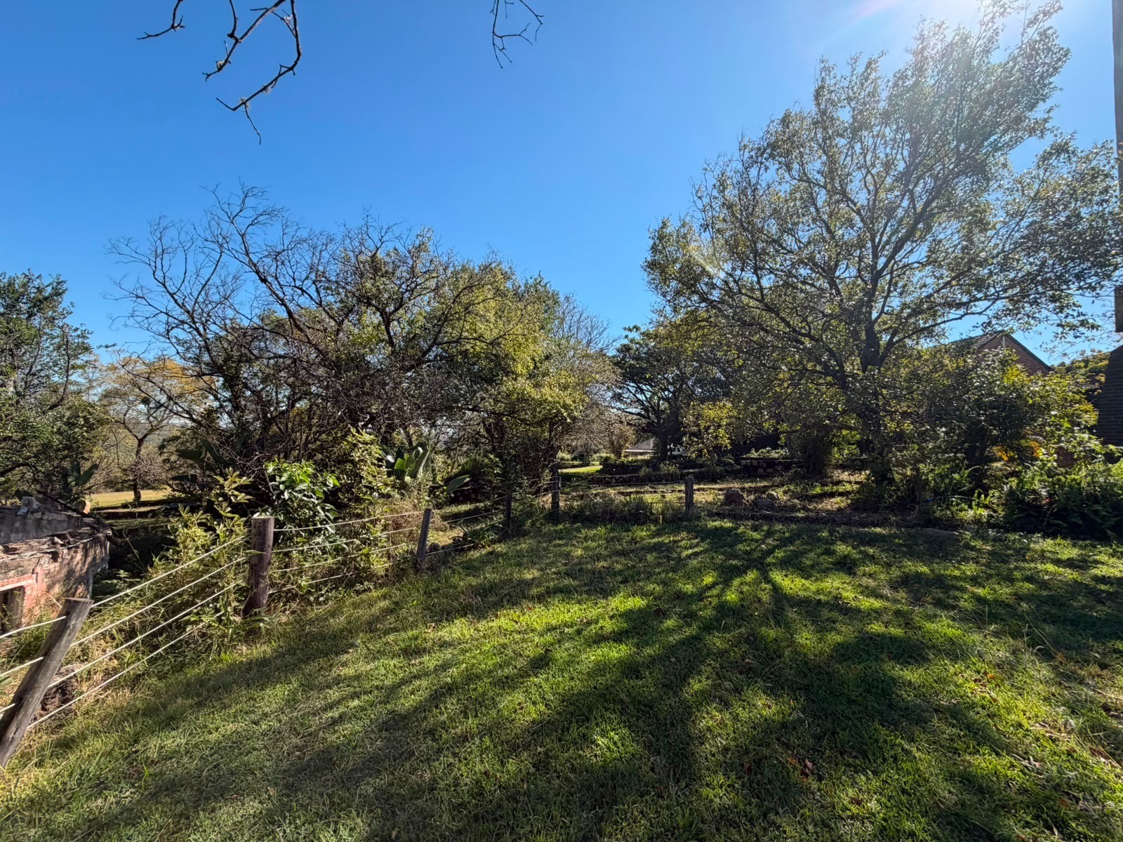 Macadamia Estate Where Productive Farming Meets Exceptional Country Living
