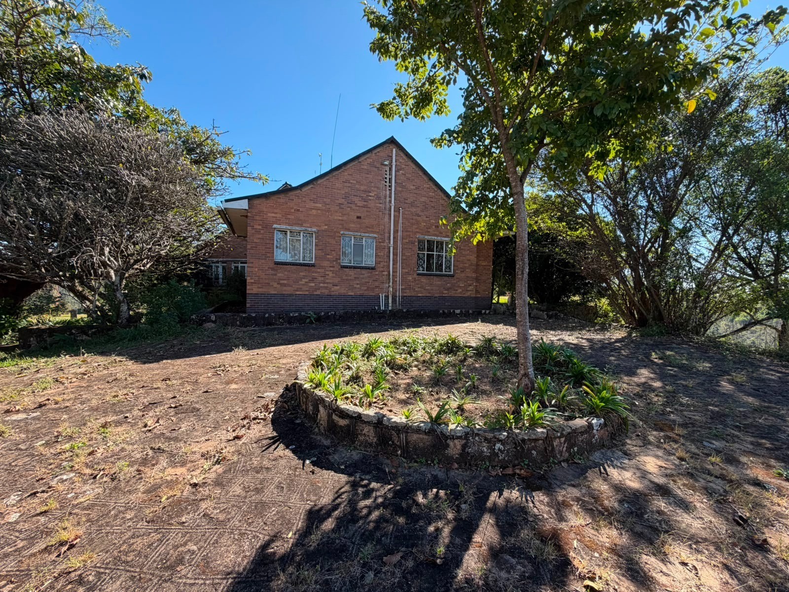 Macadamia Estate Where Productive Farming Meets Exceptional Country Living