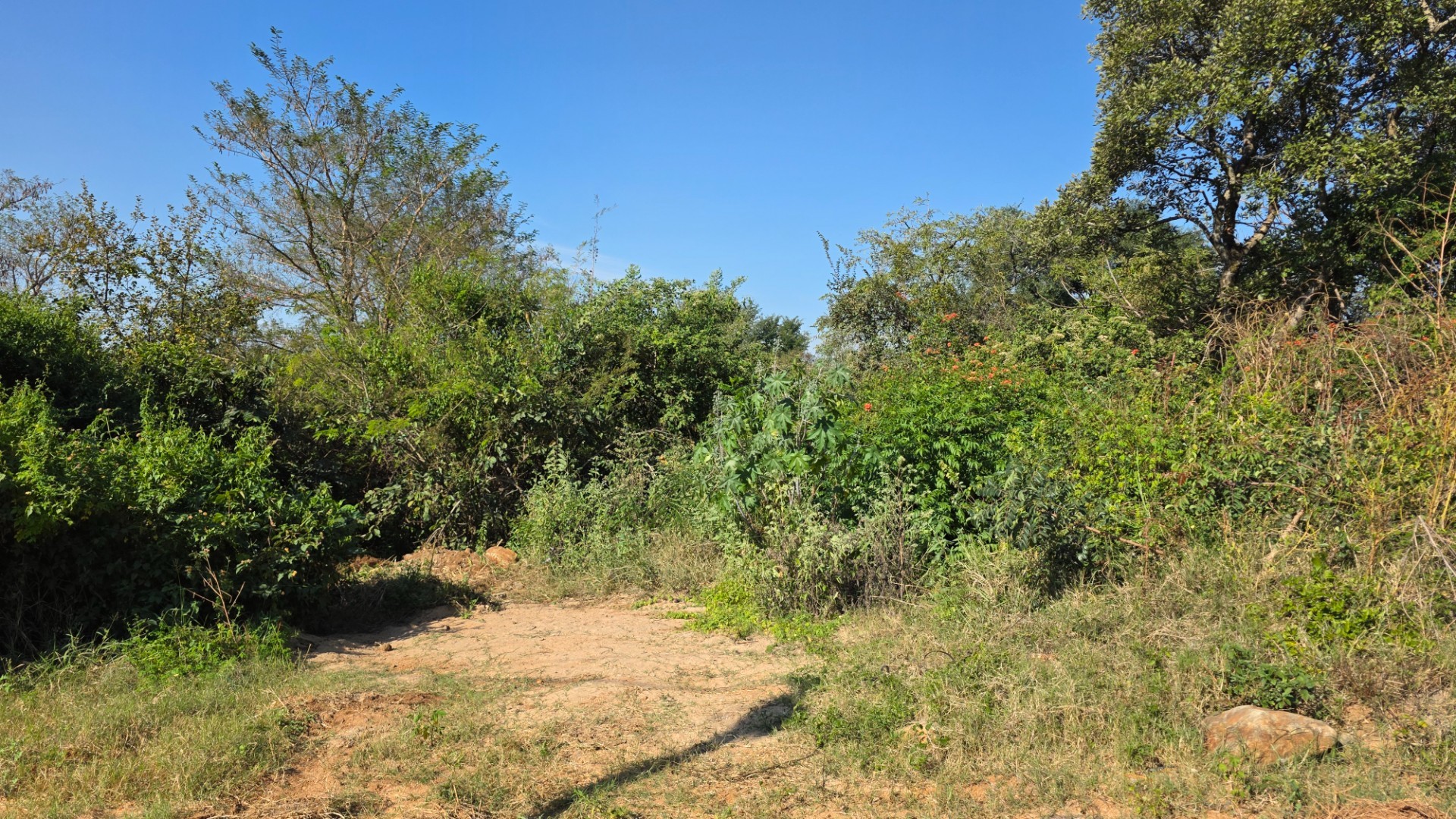Build Your Dream Home in the Heart of the Lowveld