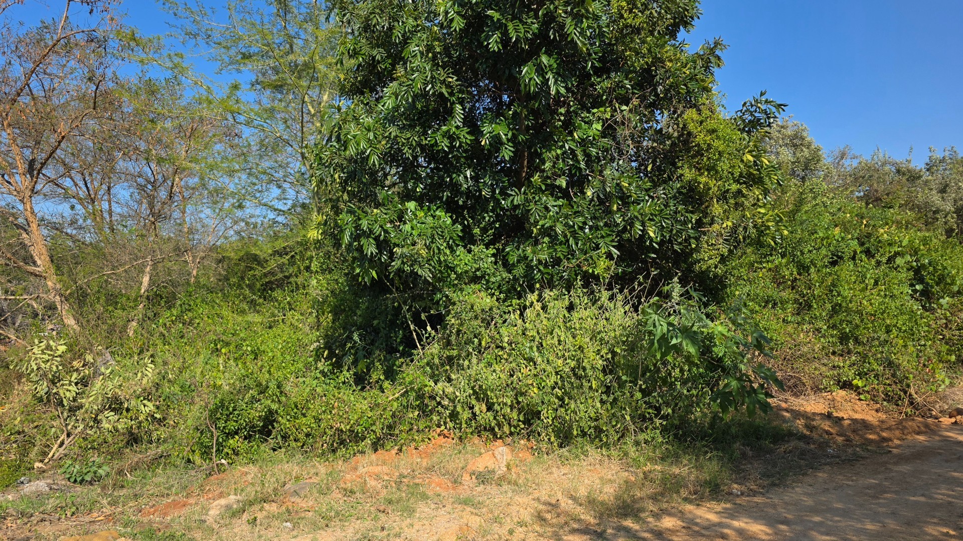 Build Your Dream Home in the Heart of the Lowveld
