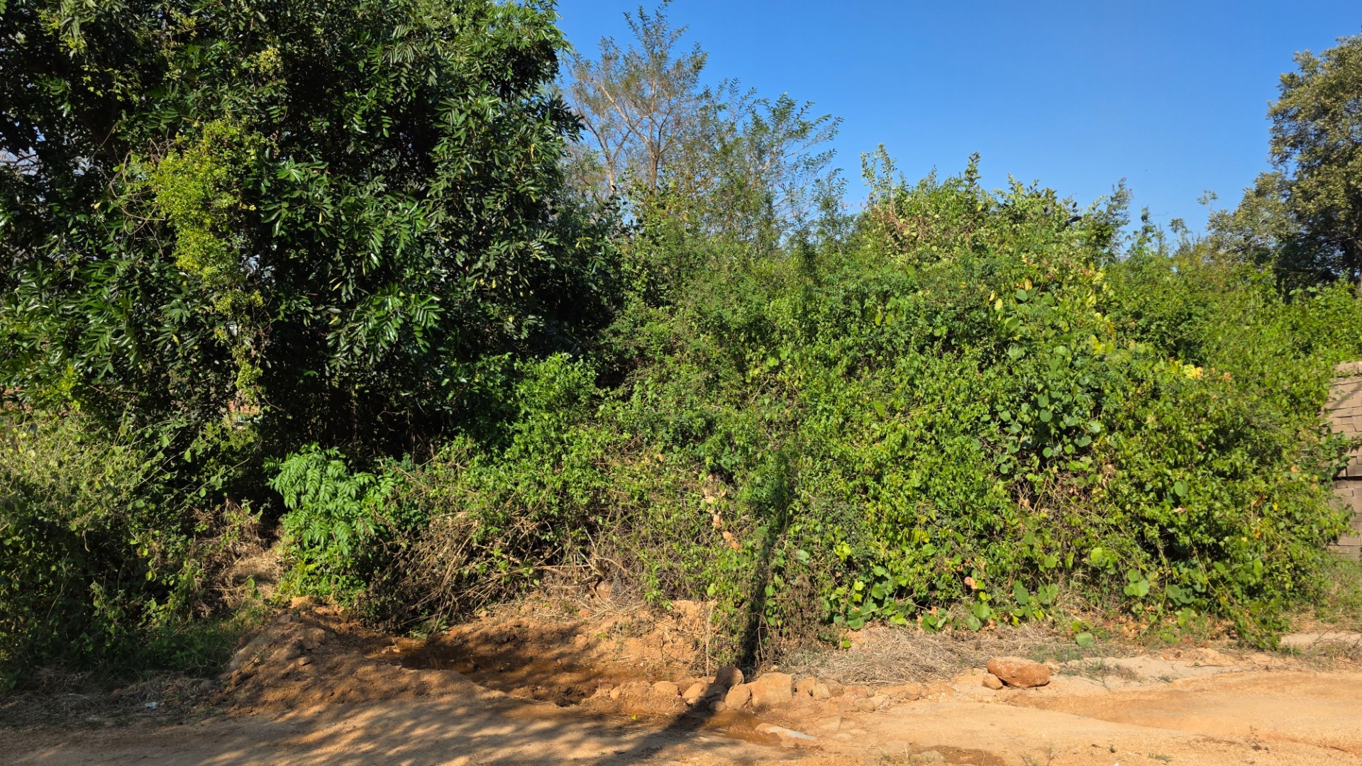 Build Your Dream Home in the Heart of the Lowveld