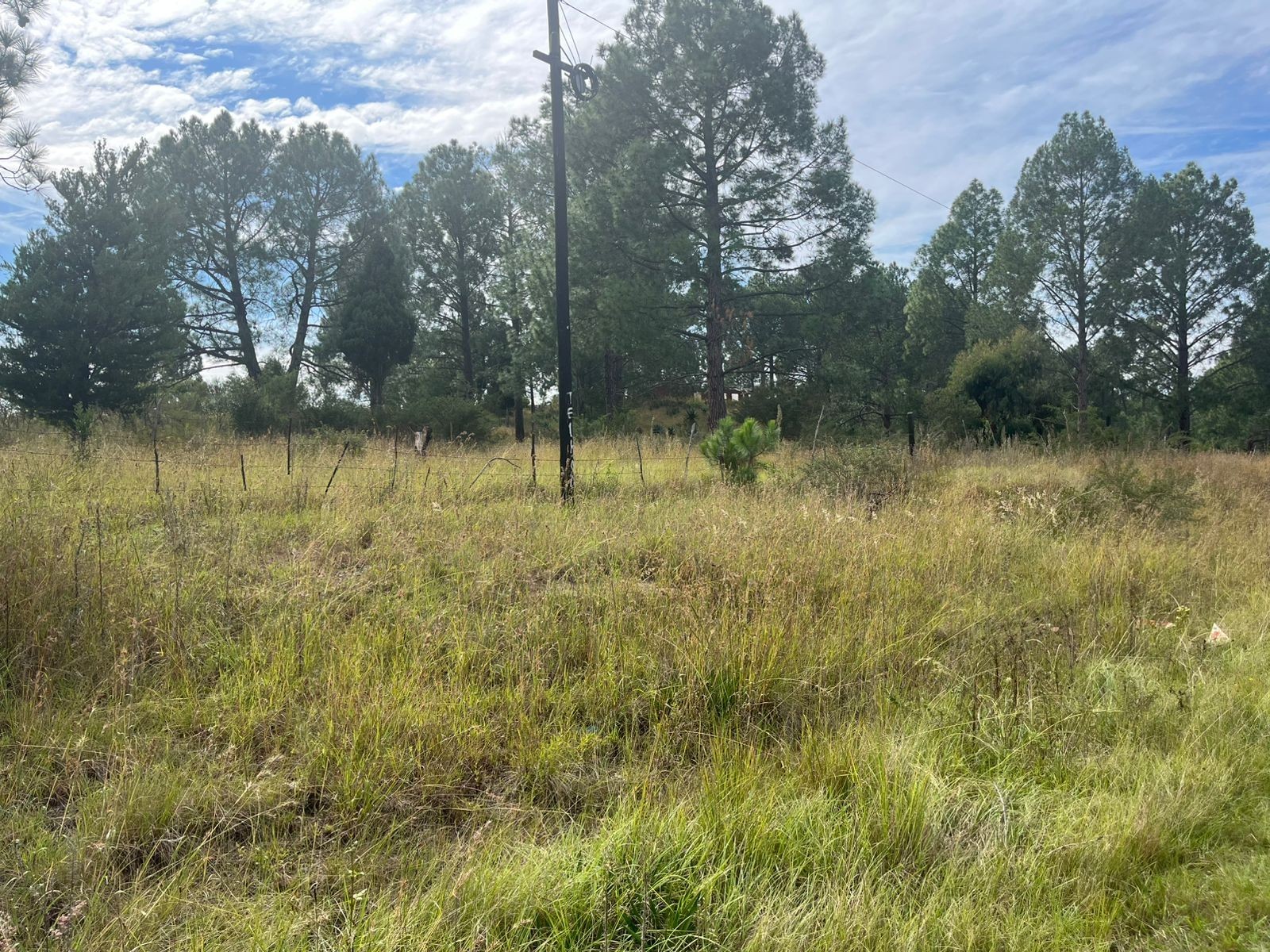 Small Holding For Sale in Nqutu, KwaZulu Natal
