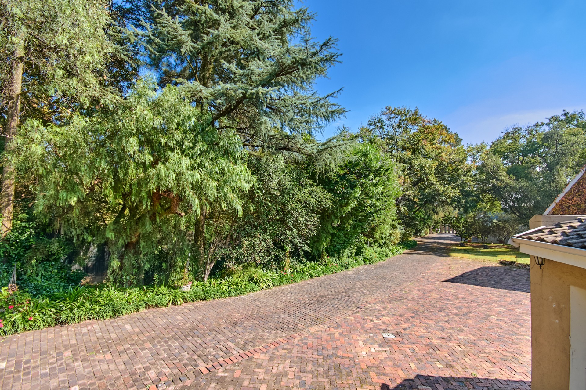 Luxury Family Residence in Prestigious Bryanston for Rental