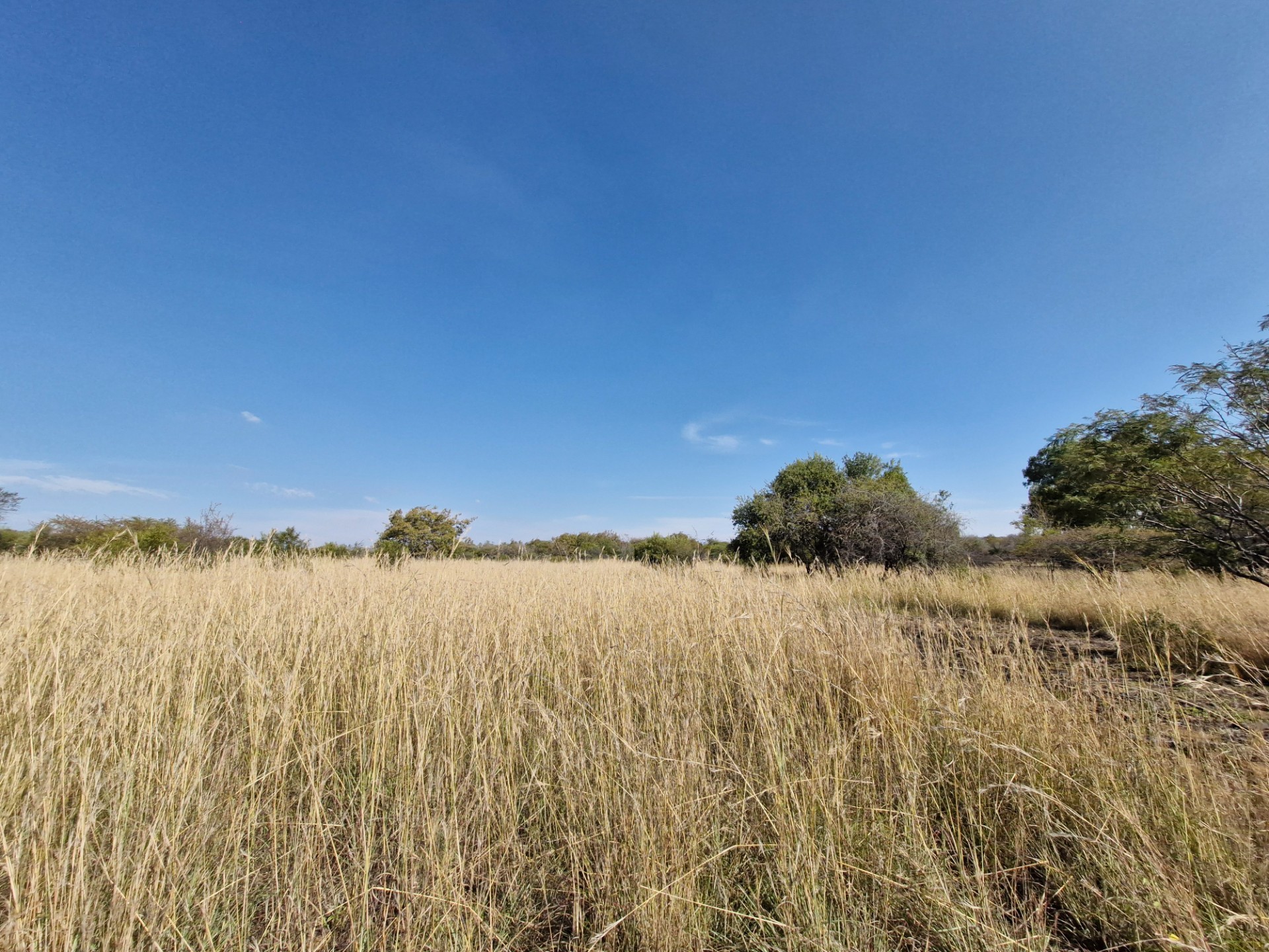 EXCEPTIONALLY WELL-MAINTAINED FARM FOR SALE