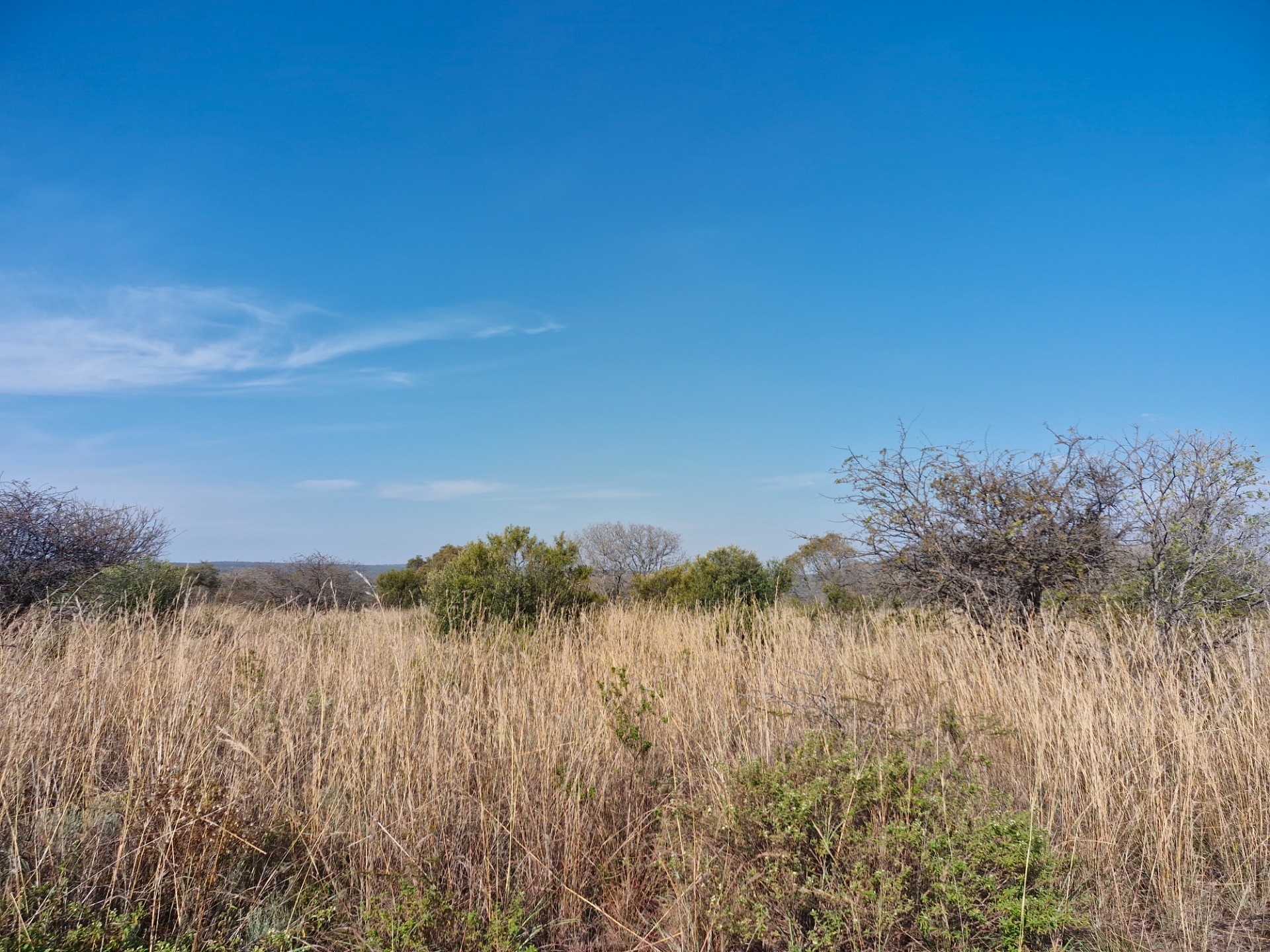 EXCEPTIONALLY WELL-MAINTAINED FARM FOR SALE