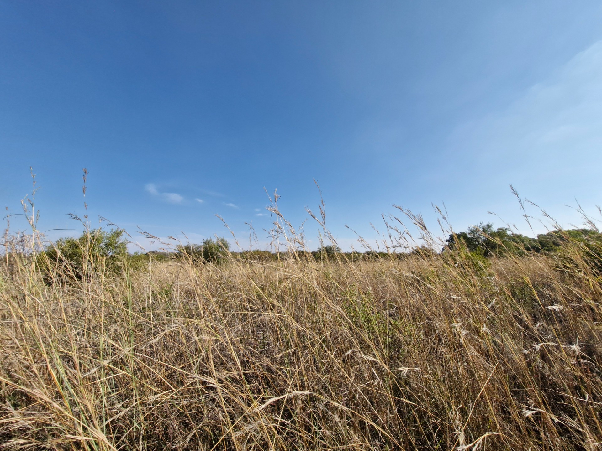 EXCEPTIONALLY WELL-MAINTAINED FARM FOR SALE