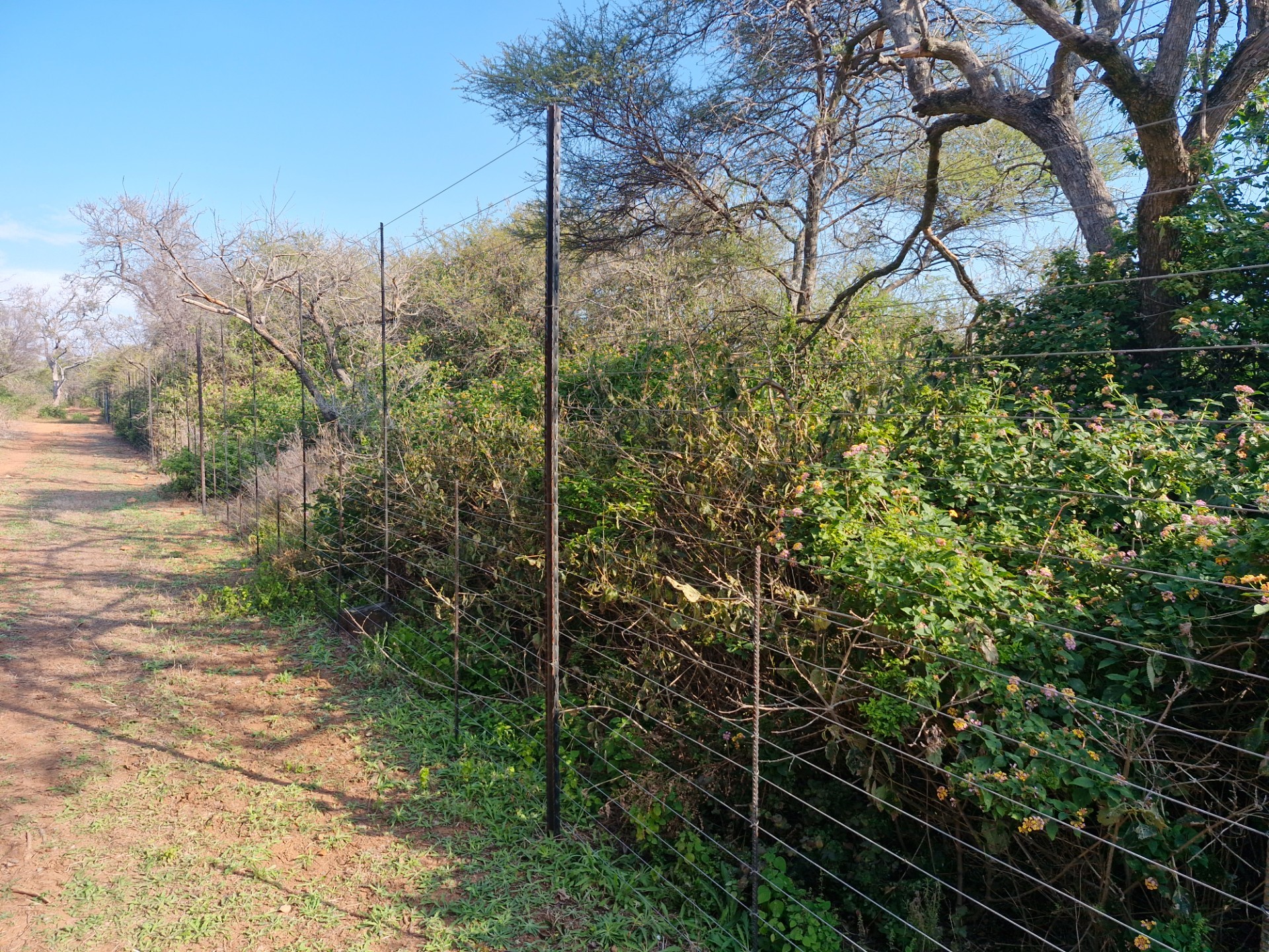 EXCEPTIONALLY WELL-MAINTAINED FARM FOR SALE