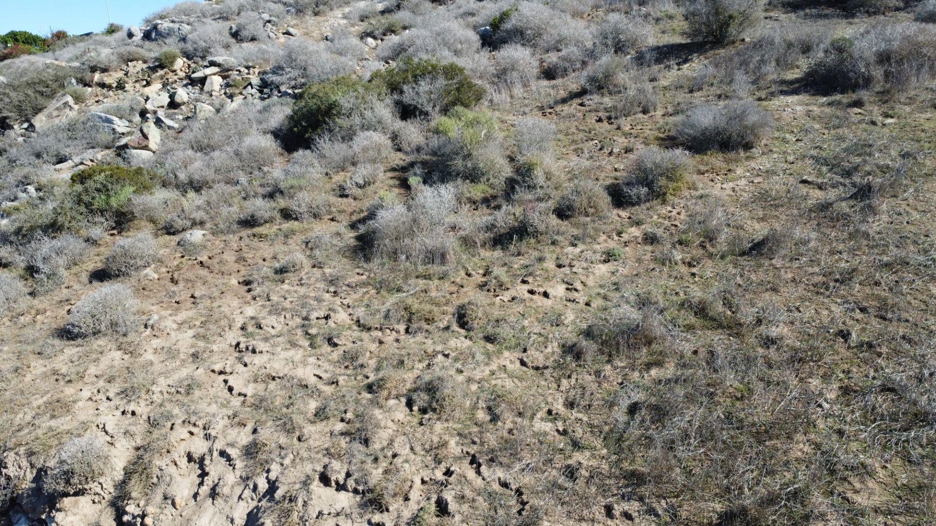 Vacant Land For Sale in Saldanha Central, Saldanha
