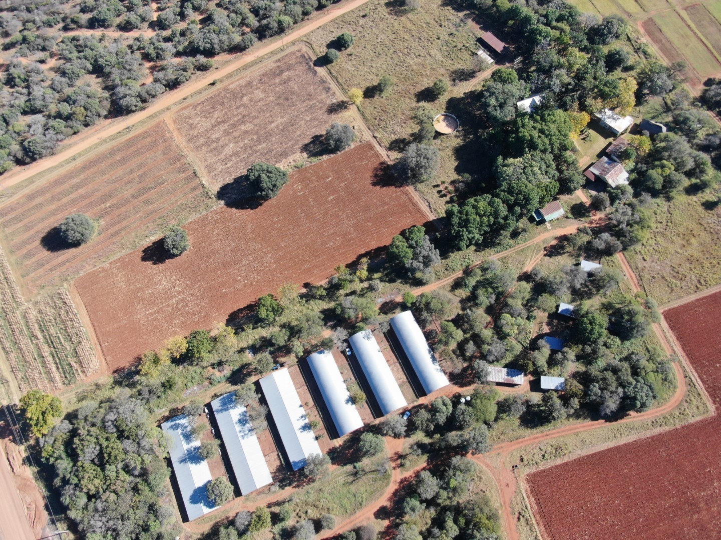 Operational Chicken Farm for Sale - 20 Hectares in Bela Bela