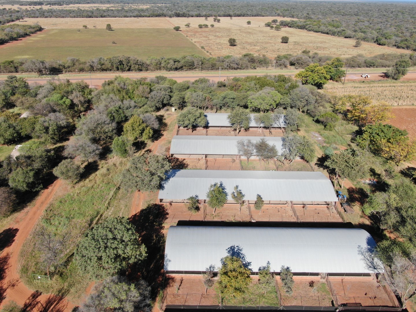 Operational Chicken Farm for Sale - 20 Hectares in Bela Bela