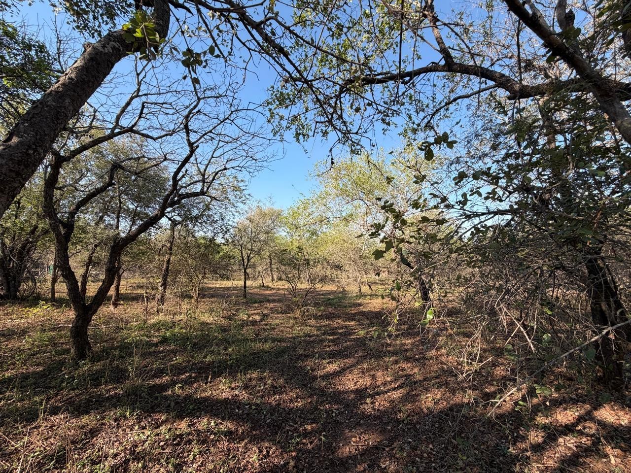 Build Your Dream Bushveld Escape on This Beautiful Flat Stand in the Heart of Marloth Park