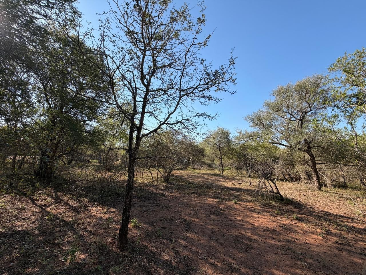 Build Your Dream Bushveld Escape on This Beautiful Flat Stand in the Heart of Marloth Park