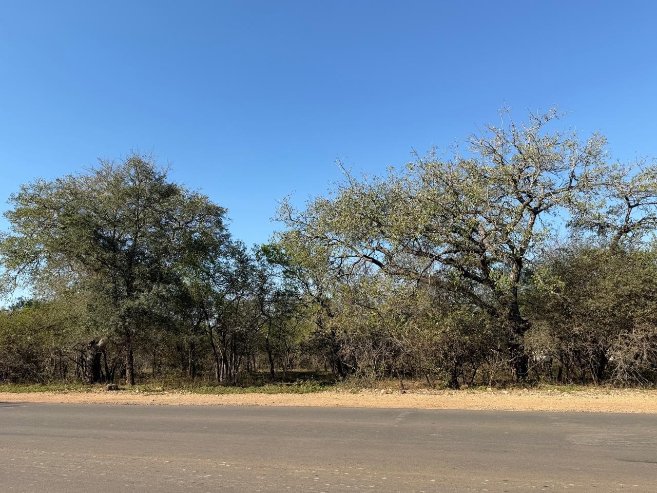 Build Your Dream Bushveld Escape on This Beautiful Flat Stand in the Heart of Marloth Park