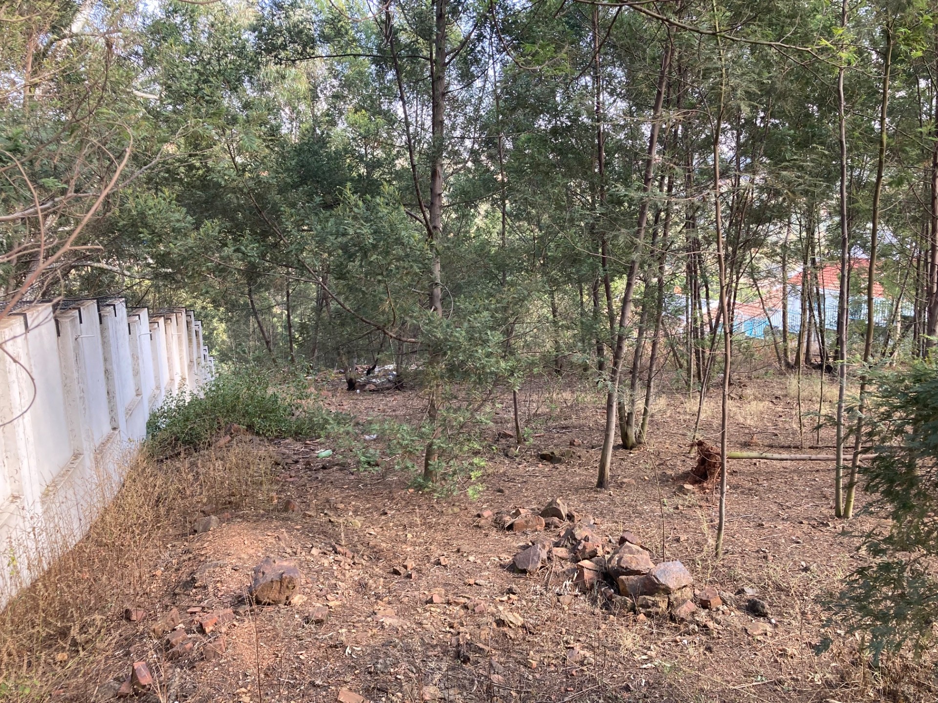 Vacant Land For Sale in Newlands, Pretoria