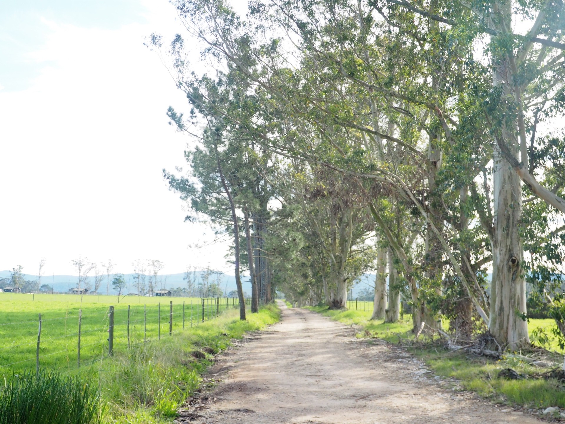 Farm For Sale in Harkerville AH, Plettenberg Bay