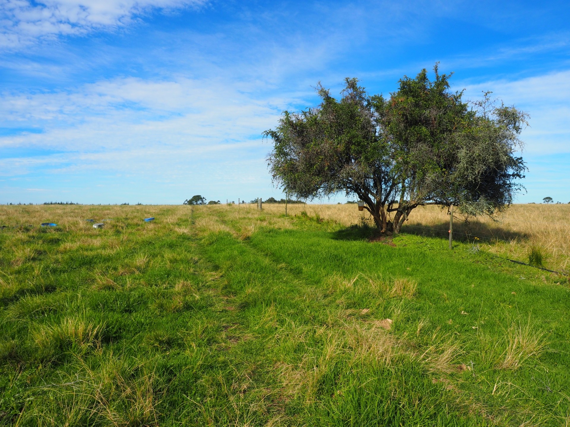 Farm For Sale in Harkerville AH, Plettenberg Bay