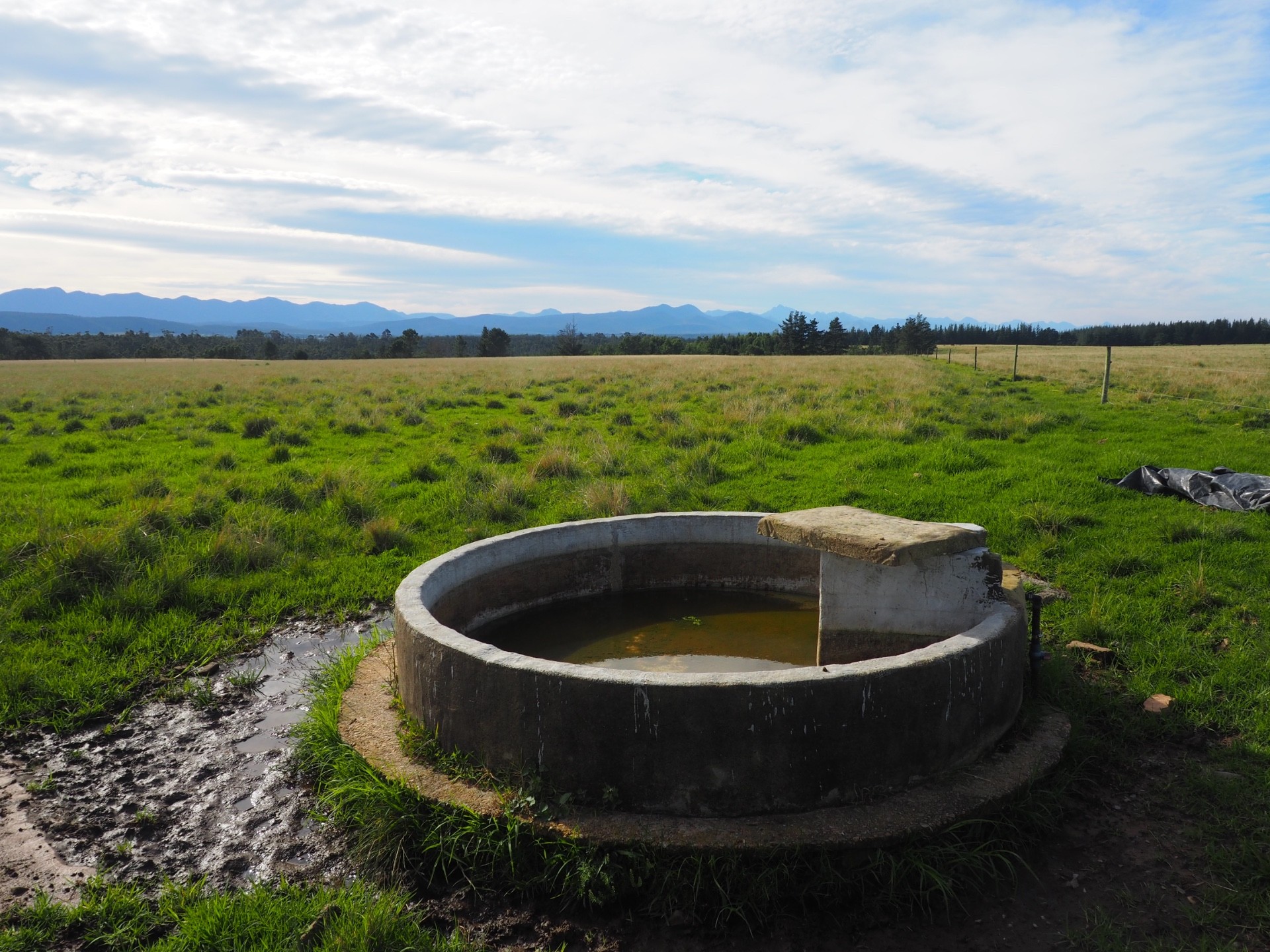 Farm For Sale in Harkerville AH, Plettenberg Bay