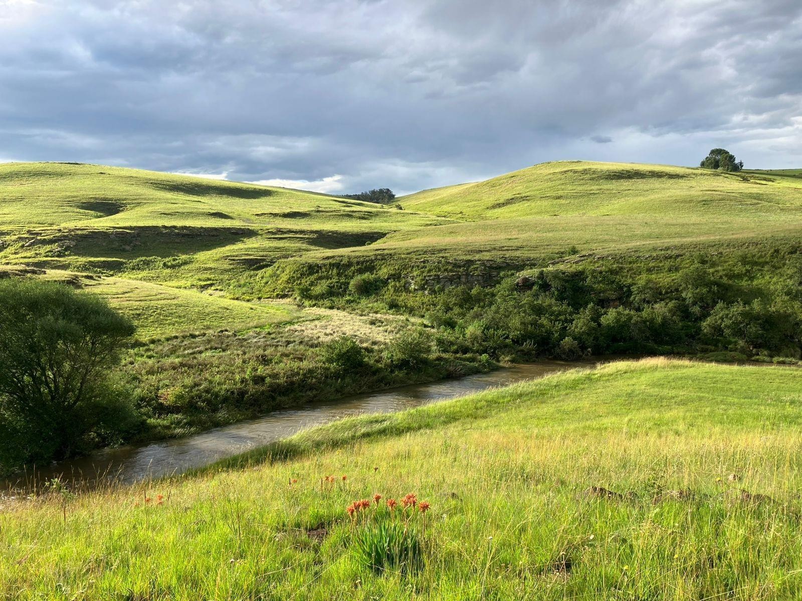 Kamberg Country Retreat with Exclusive Trout Fishing