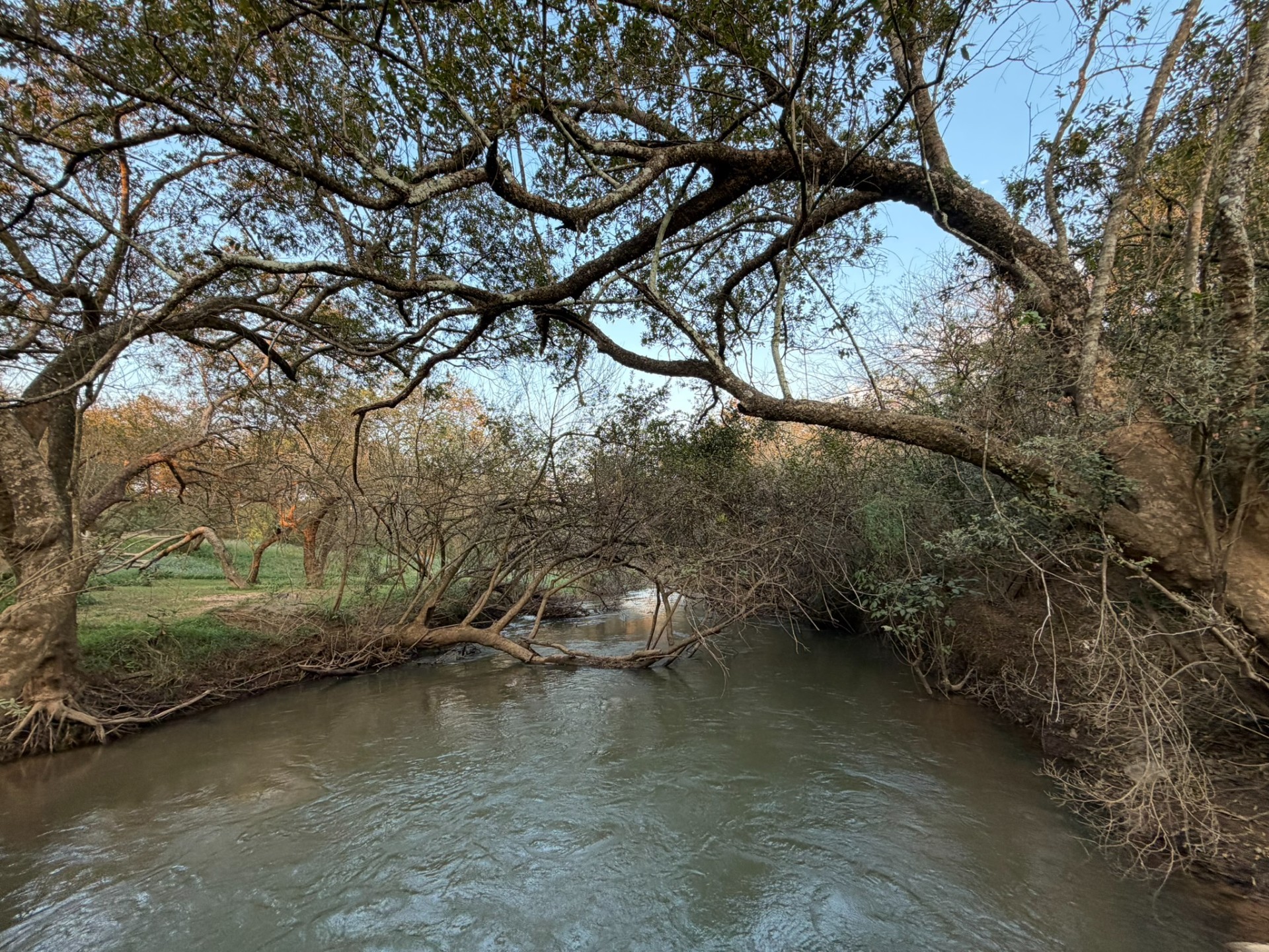 Premier Macadamia  Estate (80ha orchards) near Kruger National Park