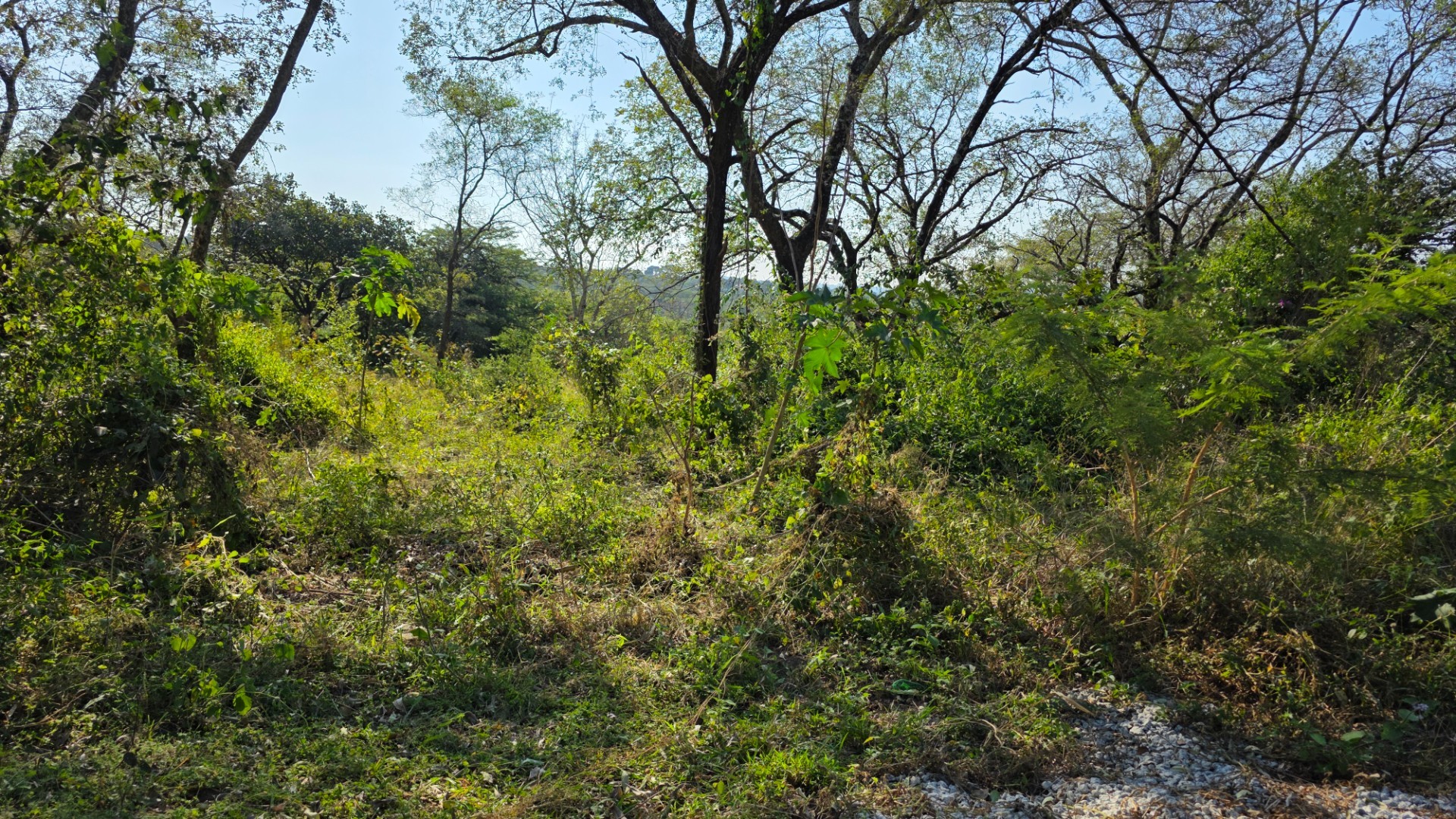 Build, Invest and Enjoy the Lowveld Lifestyle