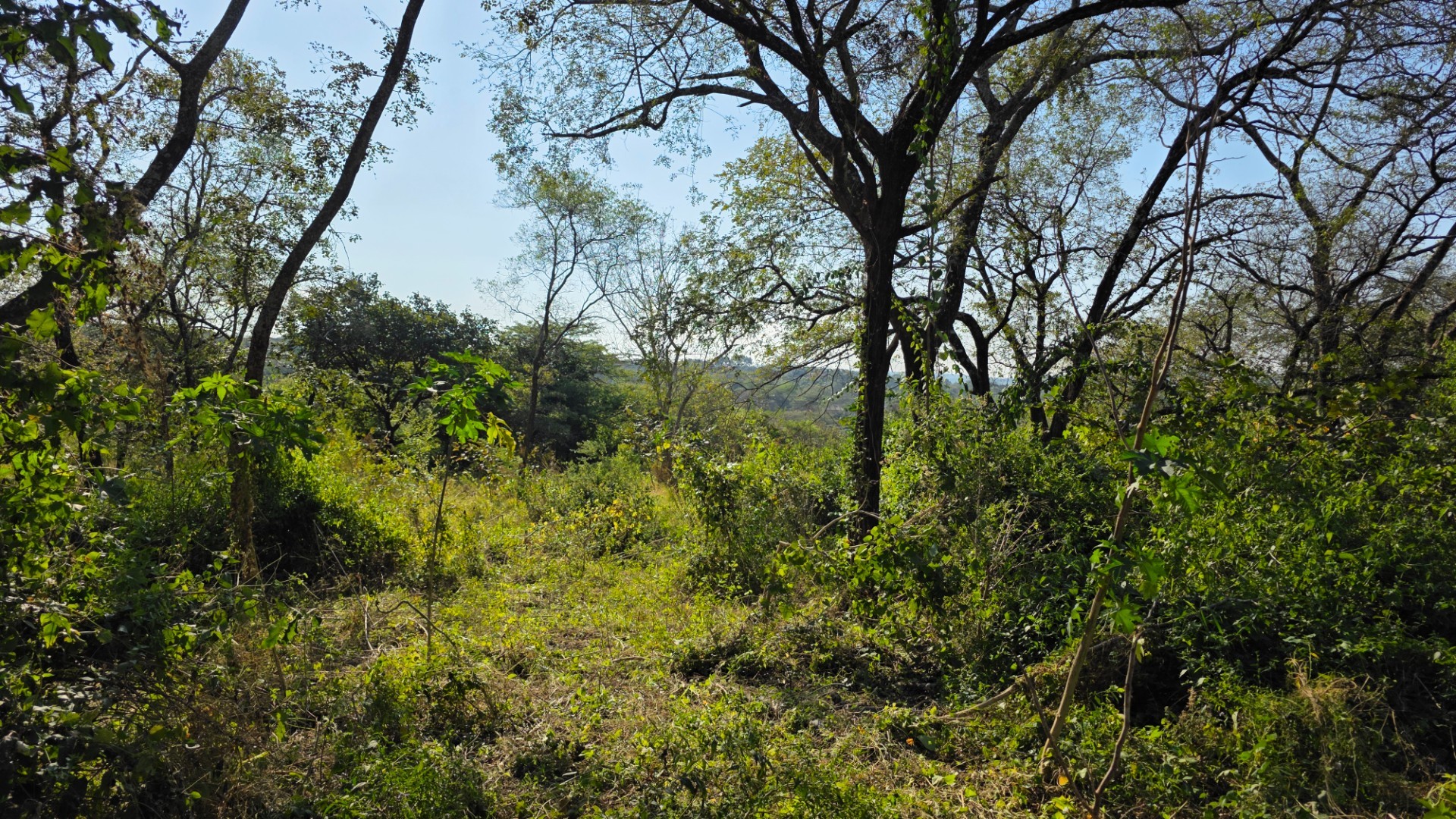 Build, Invest and Enjoy the Lowveld Lifestyle