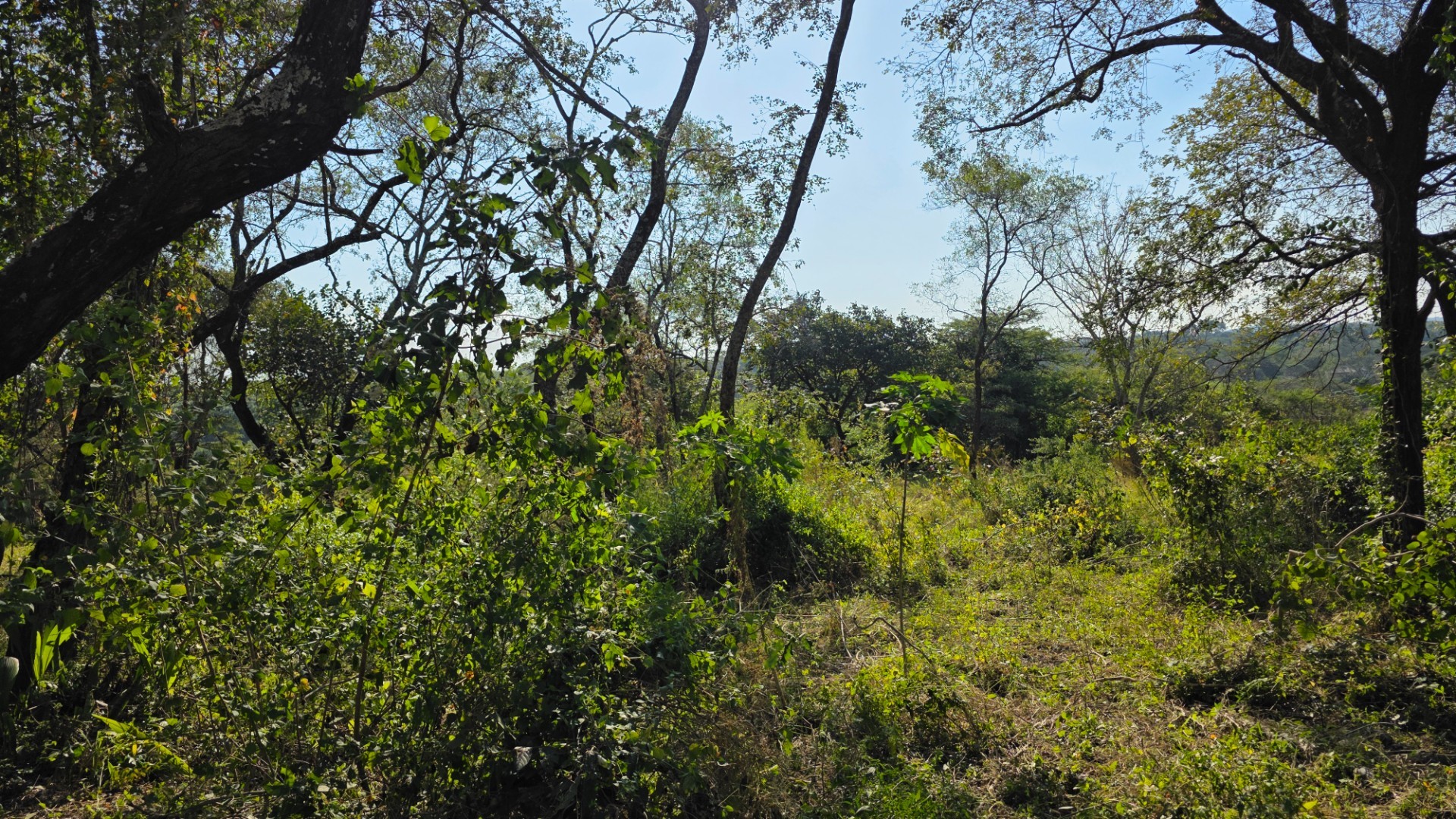 Build, Invest and Enjoy the Lowveld Lifestyle