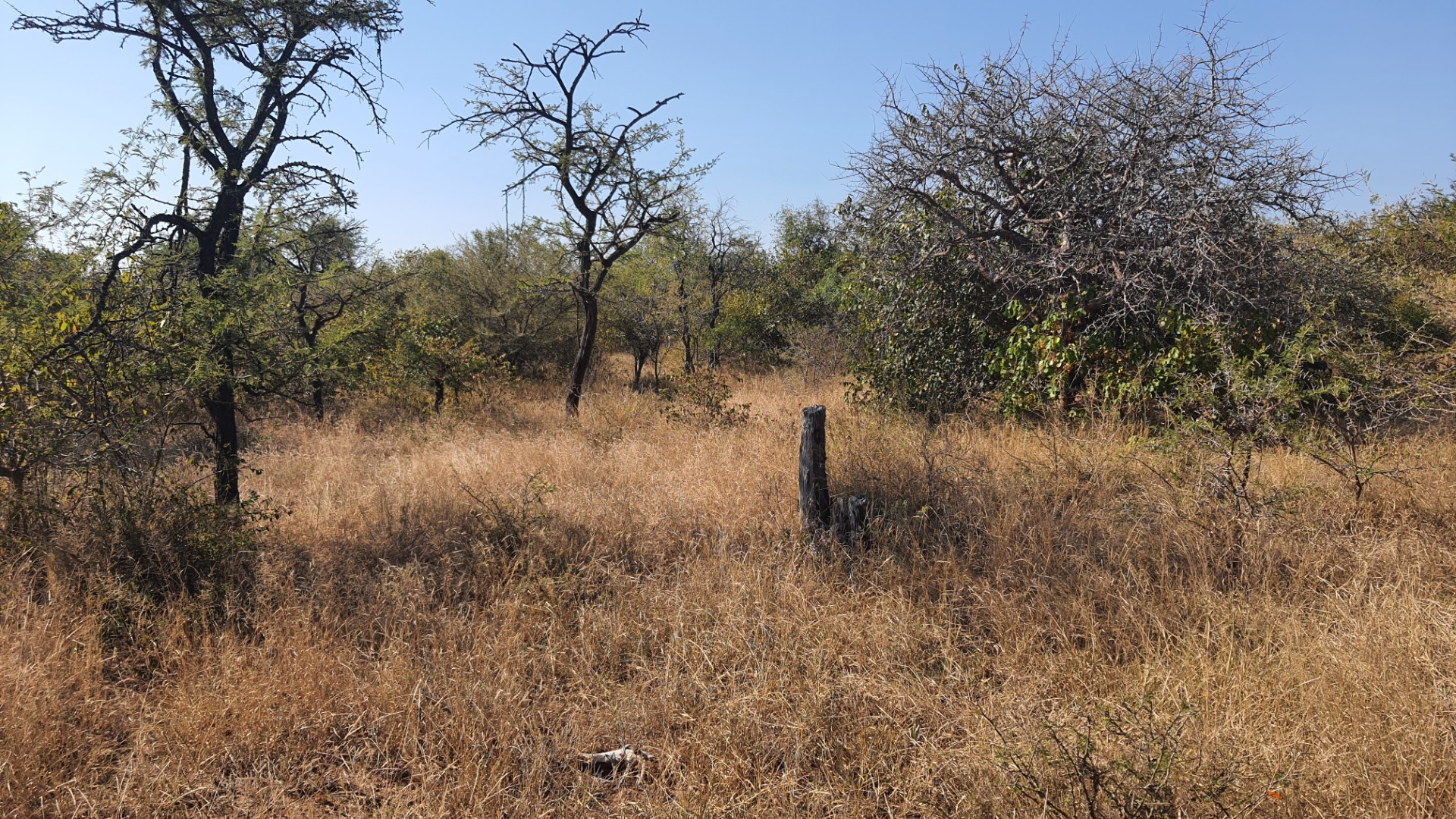 Two plots, >2 hectares, combined in Riversdale, Moditlo Wildlife Estate, Hoedspruit