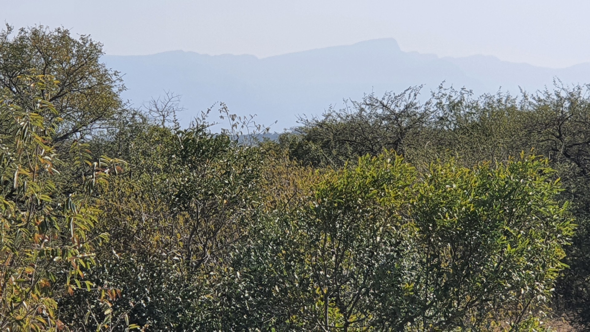 Two plots, >2 hectares, combined in Riversdale, Moditlo Wildlife Estate, Hoedspruit