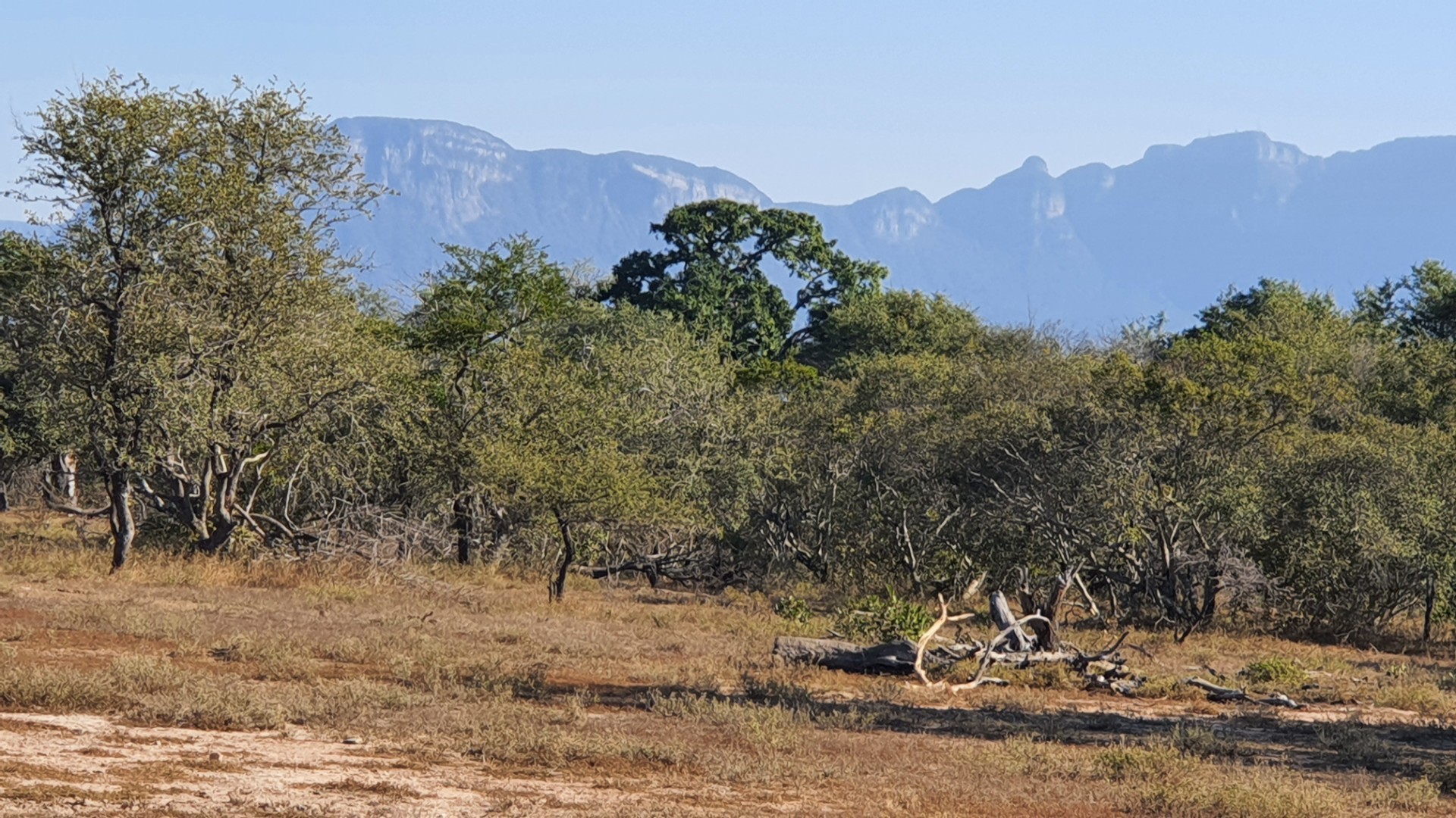 Two plots, >2 hectares, combined in Riversdale, Moditlo Wildlife Estate, Hoedspruit