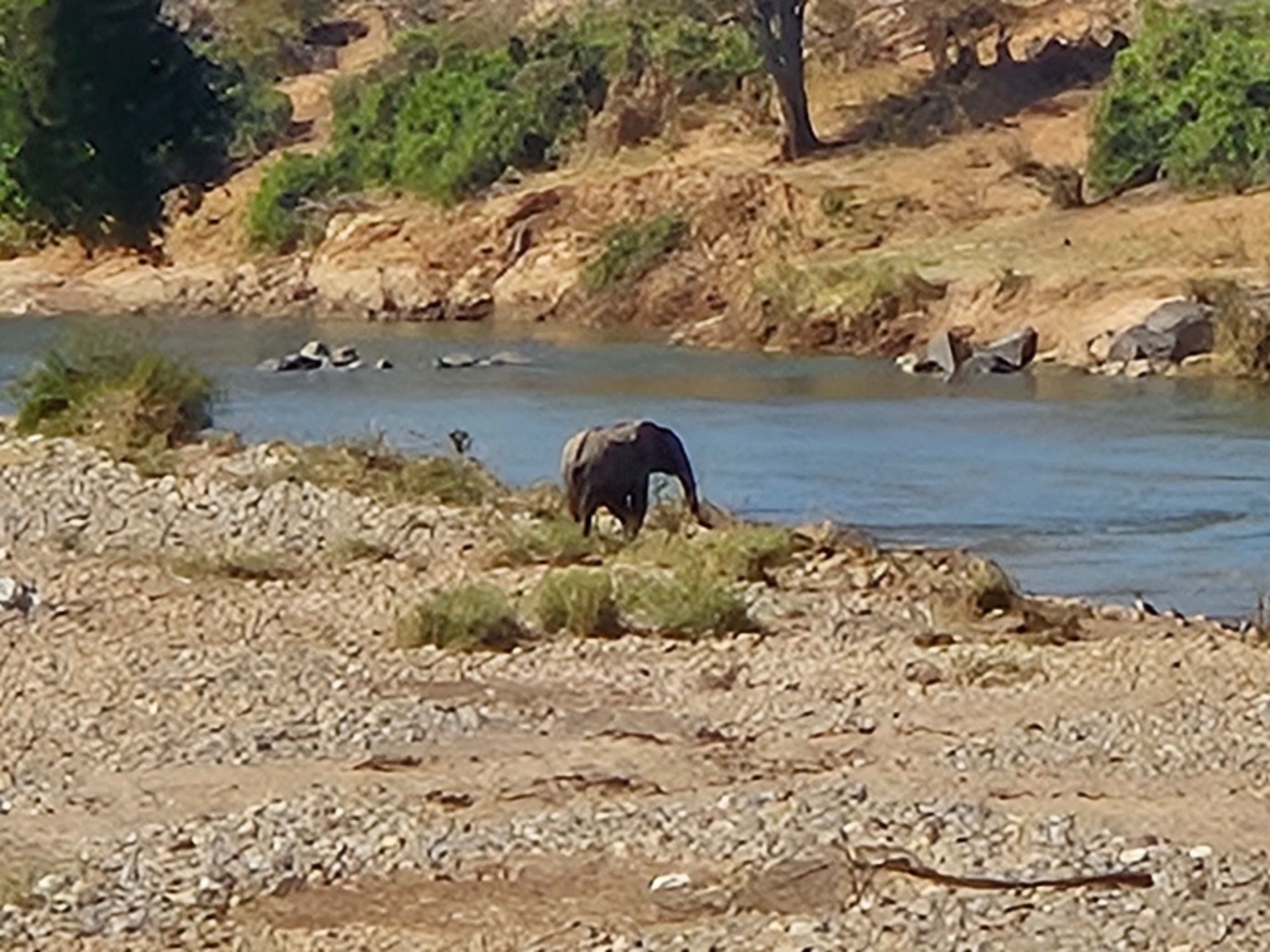 Vacant Land For Sale in Elephant Rock Eco Estate, Hoedspruit