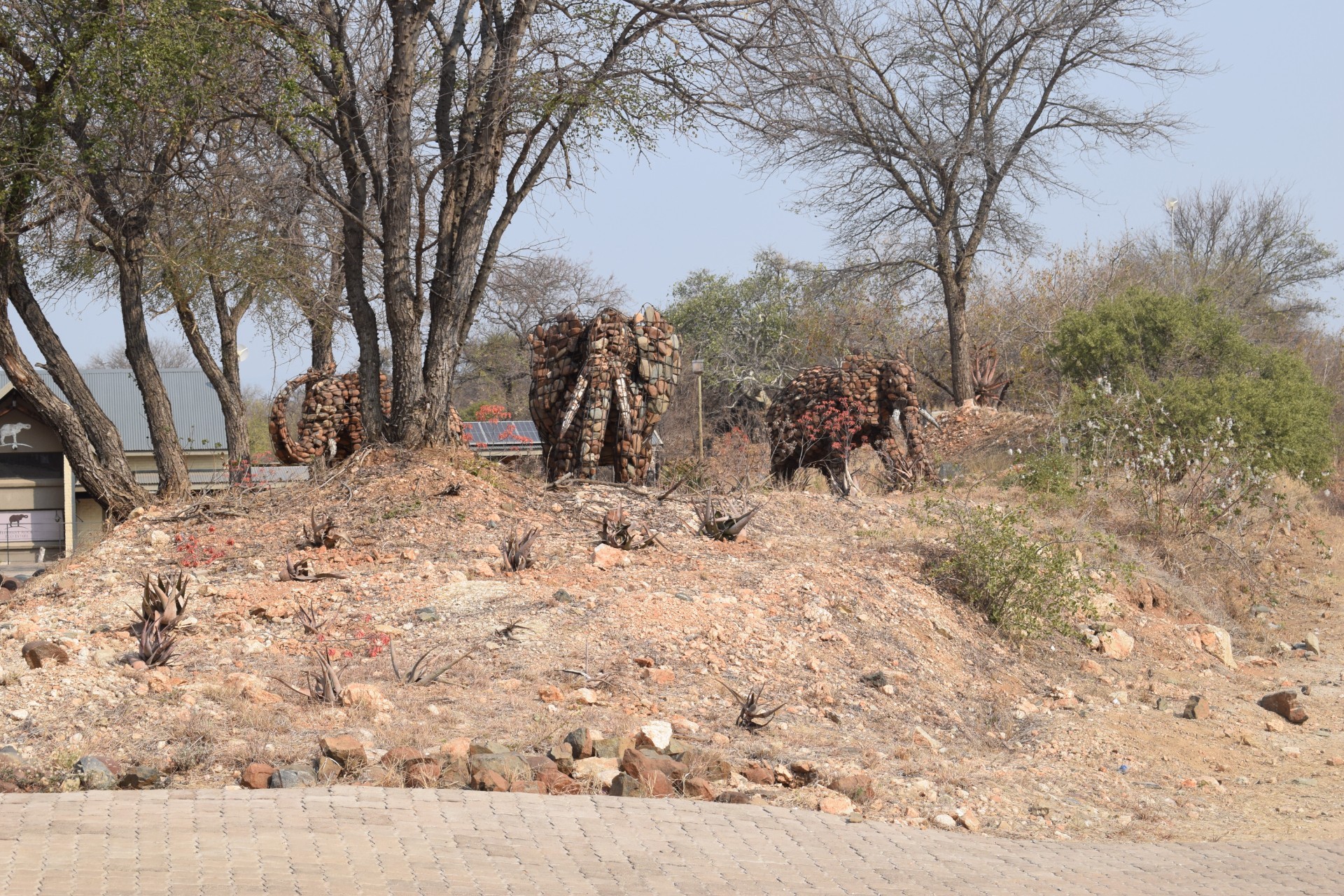 Vacant Land For Sale in Elephant Rock Eco Estate, Hoedspruit
