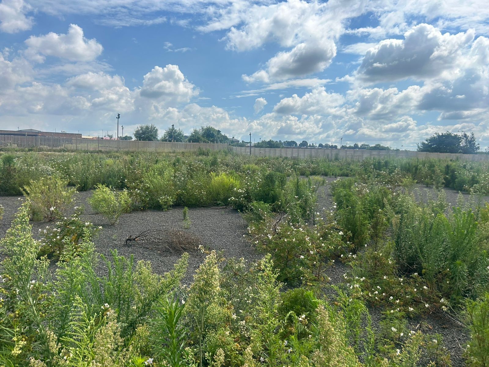 Vacant Land For Sale in Naauwpoort, Witbank