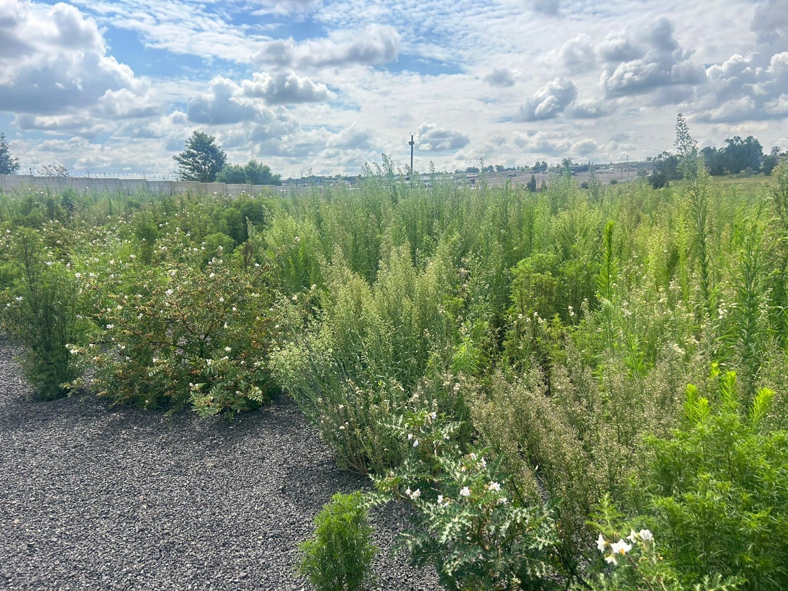 Vacant Land For Sale in Naauwpoort, Witbank