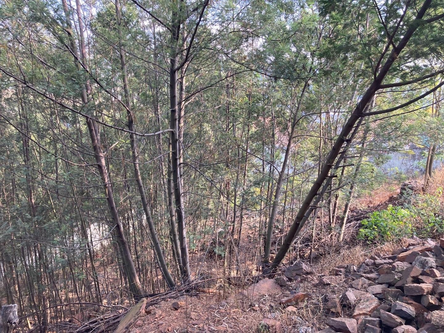 Vacant Land For Sale in Newlands, Pretoria