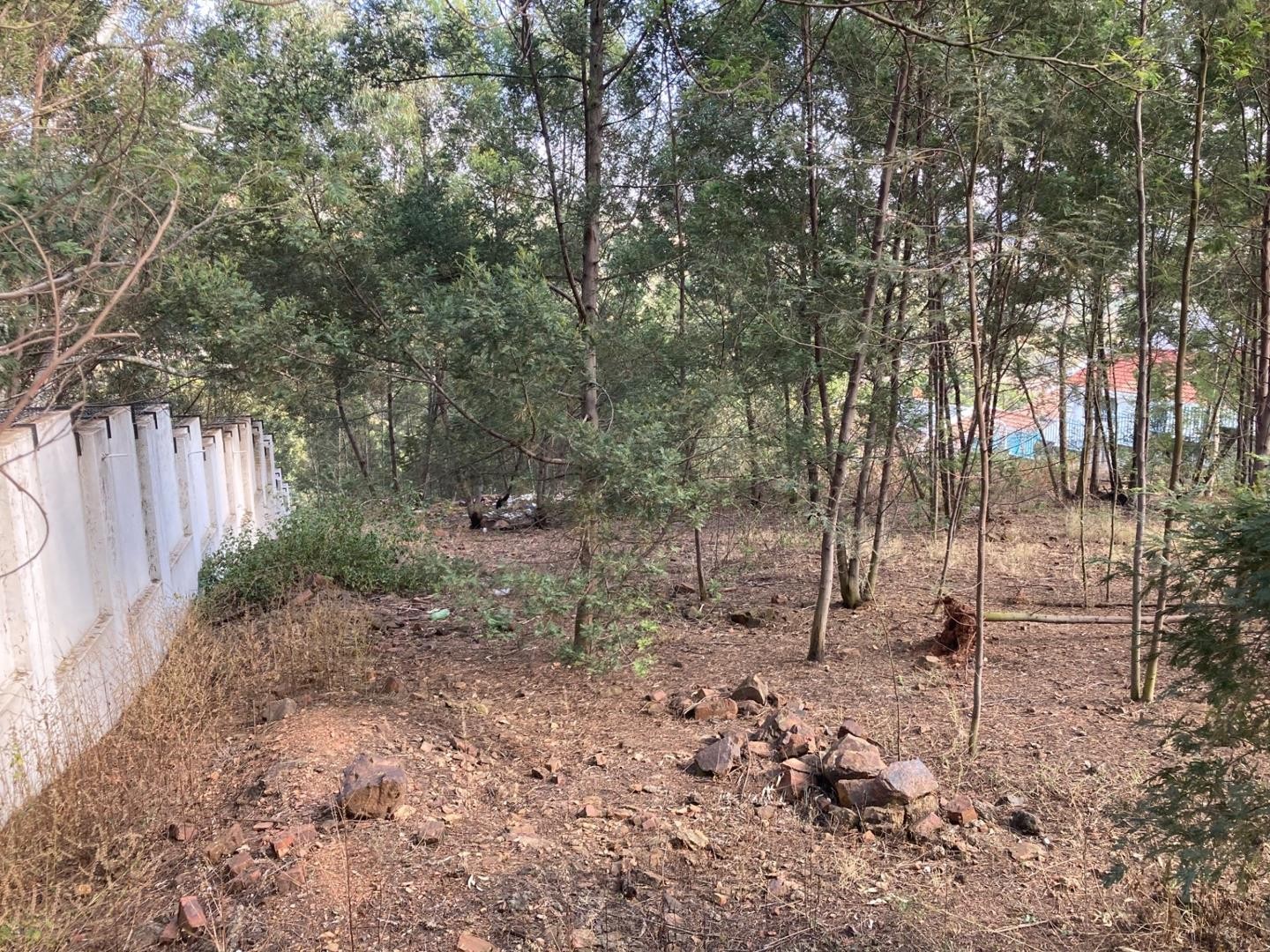 Vacant Land For Sale in Newlands, Pretoria