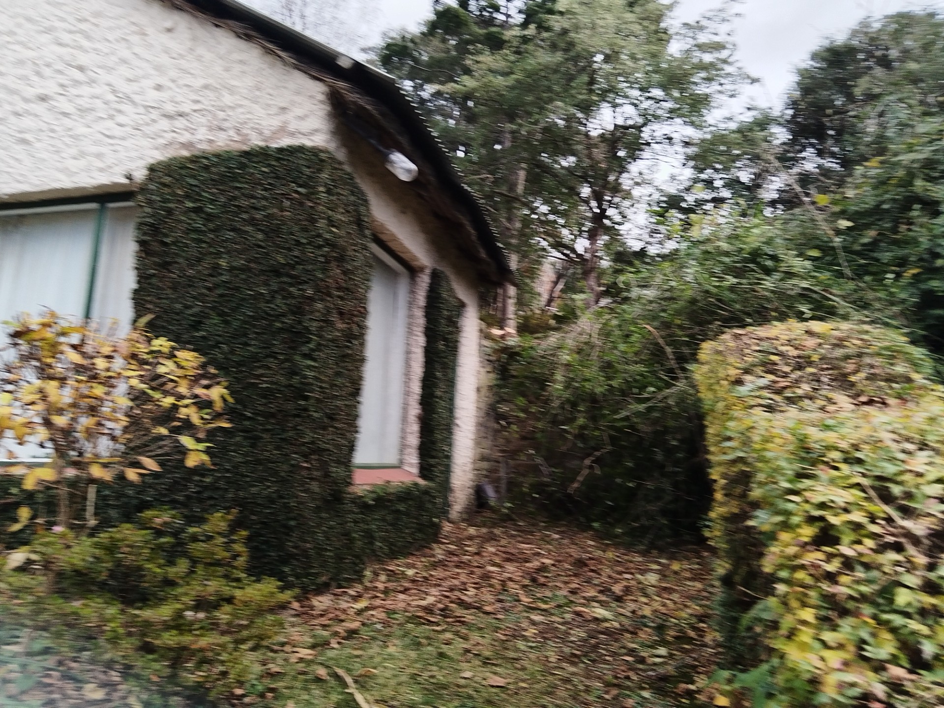 HOGSBACK HOME FOR SALE WITH MAGICAL GARDEN
