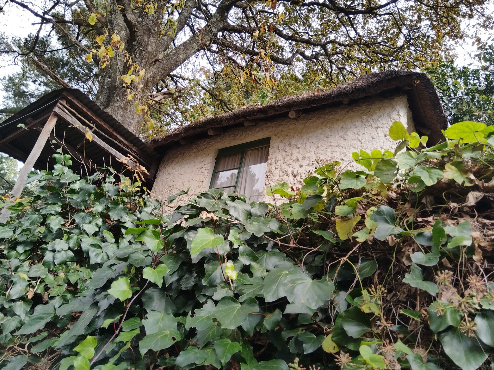 HOGSBACK HOME FOR SALE WITH MAGICAL GARDEN
