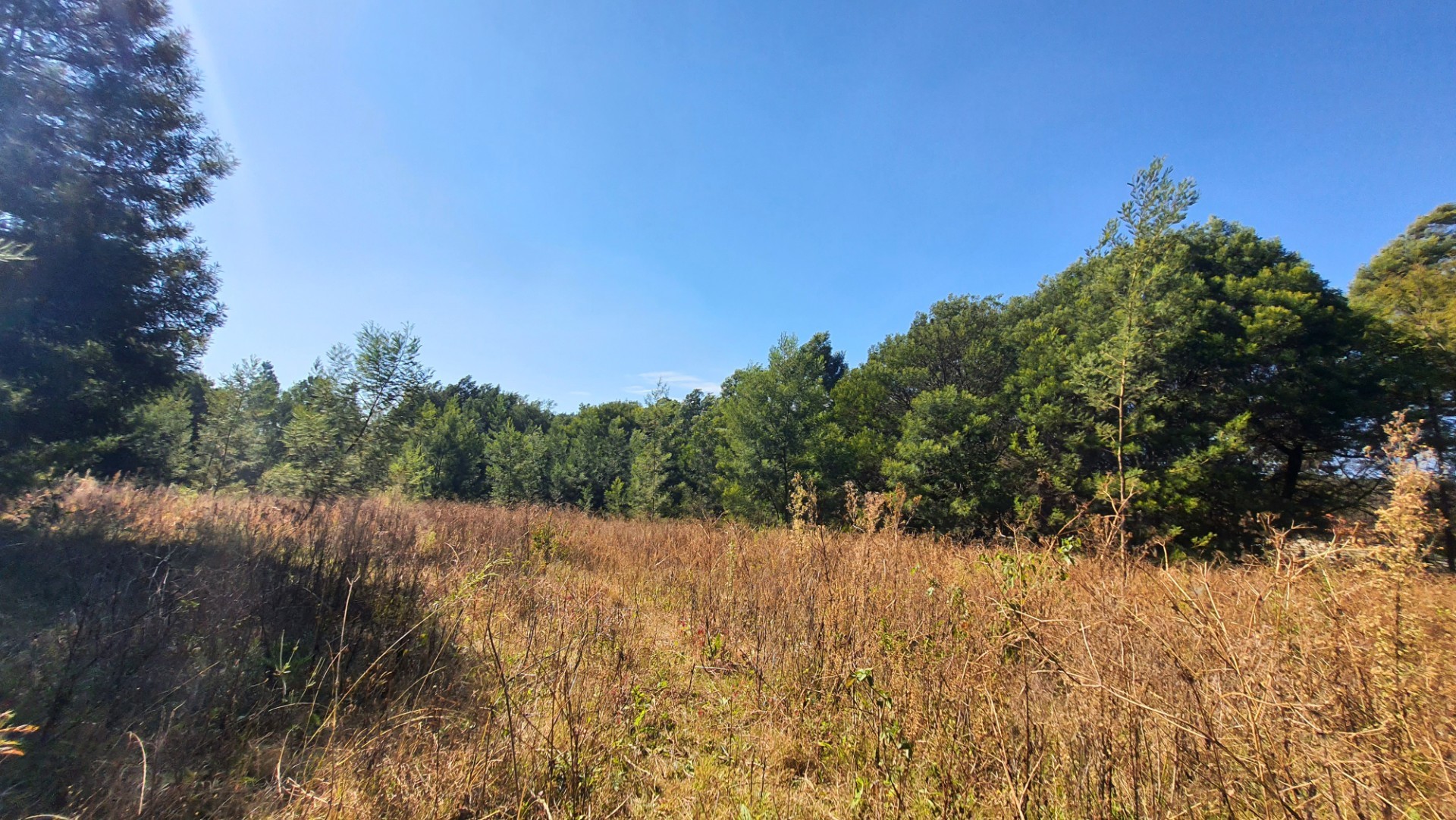 Prime Open Land in Mooikloof - Build Your Dream Home