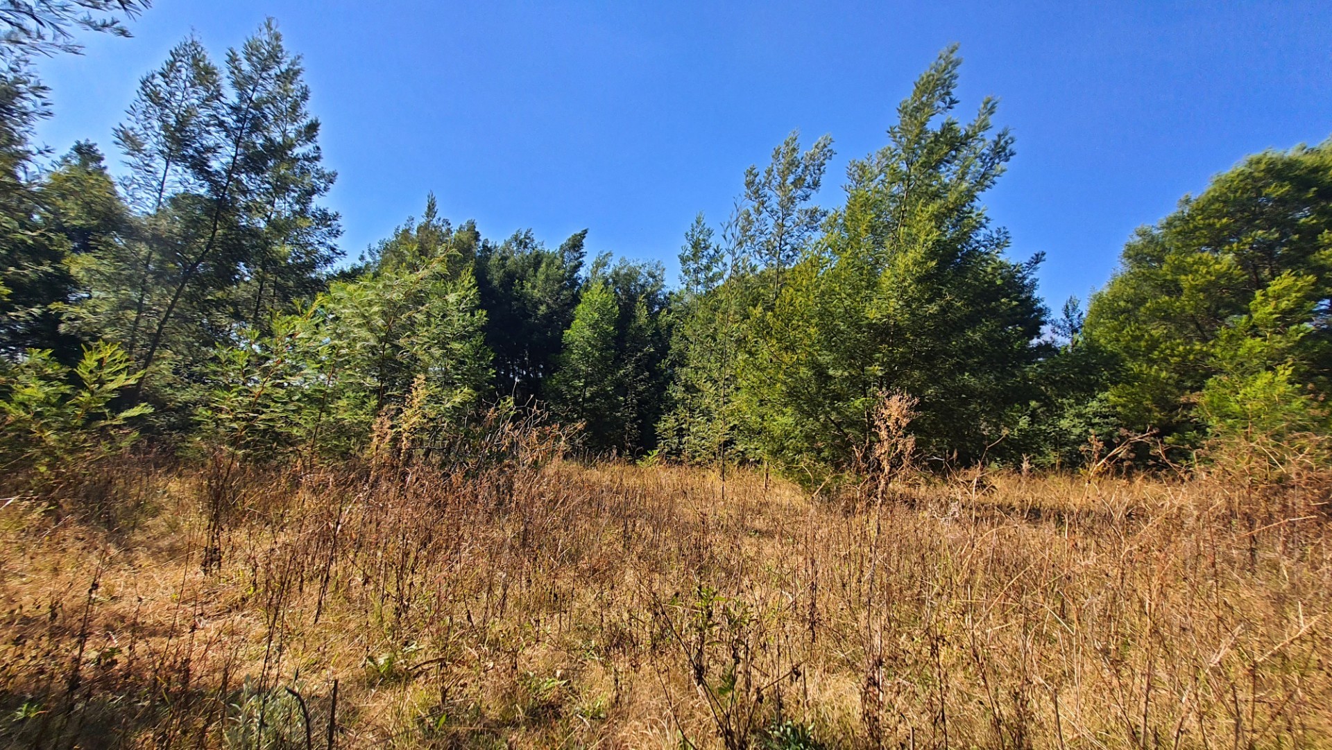 Prime Open Land in Mooikloof - Build Your Dream Home