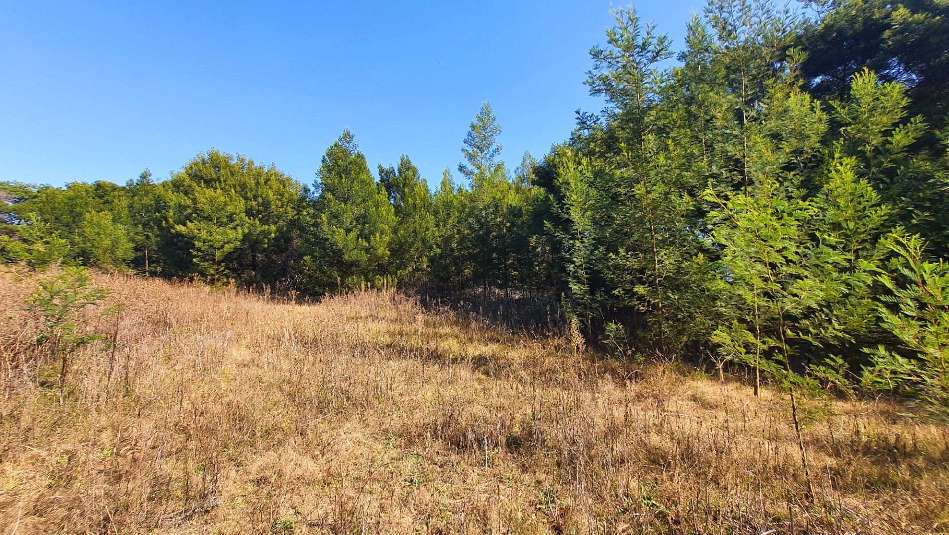 Prime Open Land in Mooikloof - Build Your Dream Home