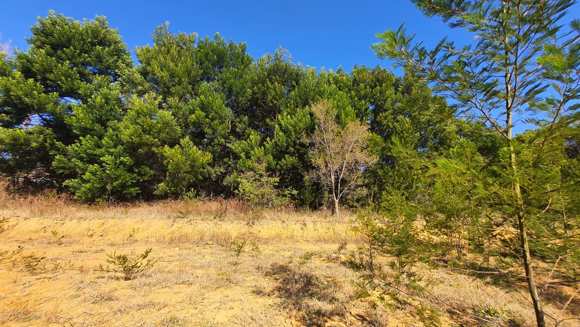 Prime Open Land in Mooikloof - Build Your Dream Home