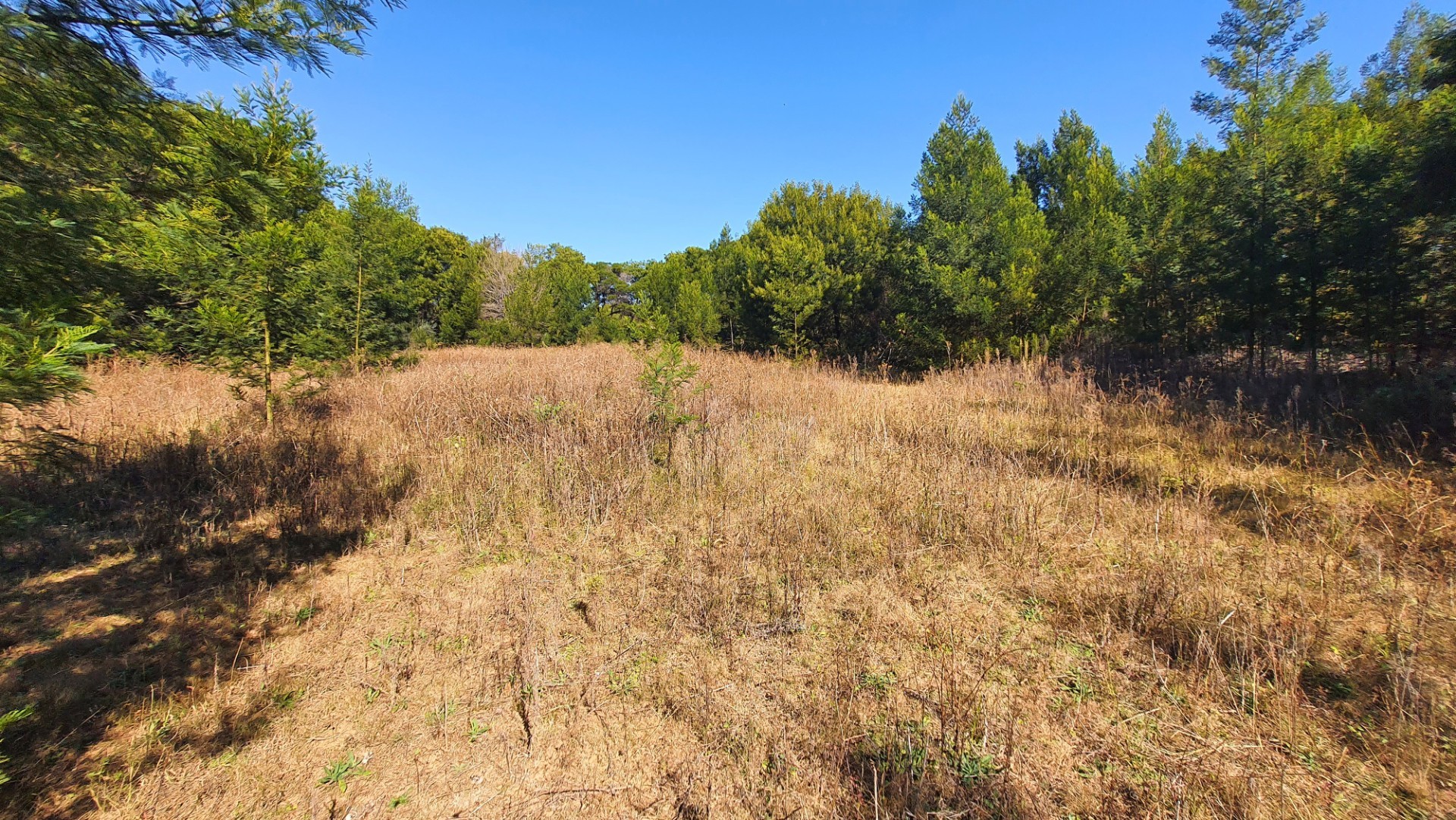 Prime Open Land in Mooikloof - Build Your Dream Home