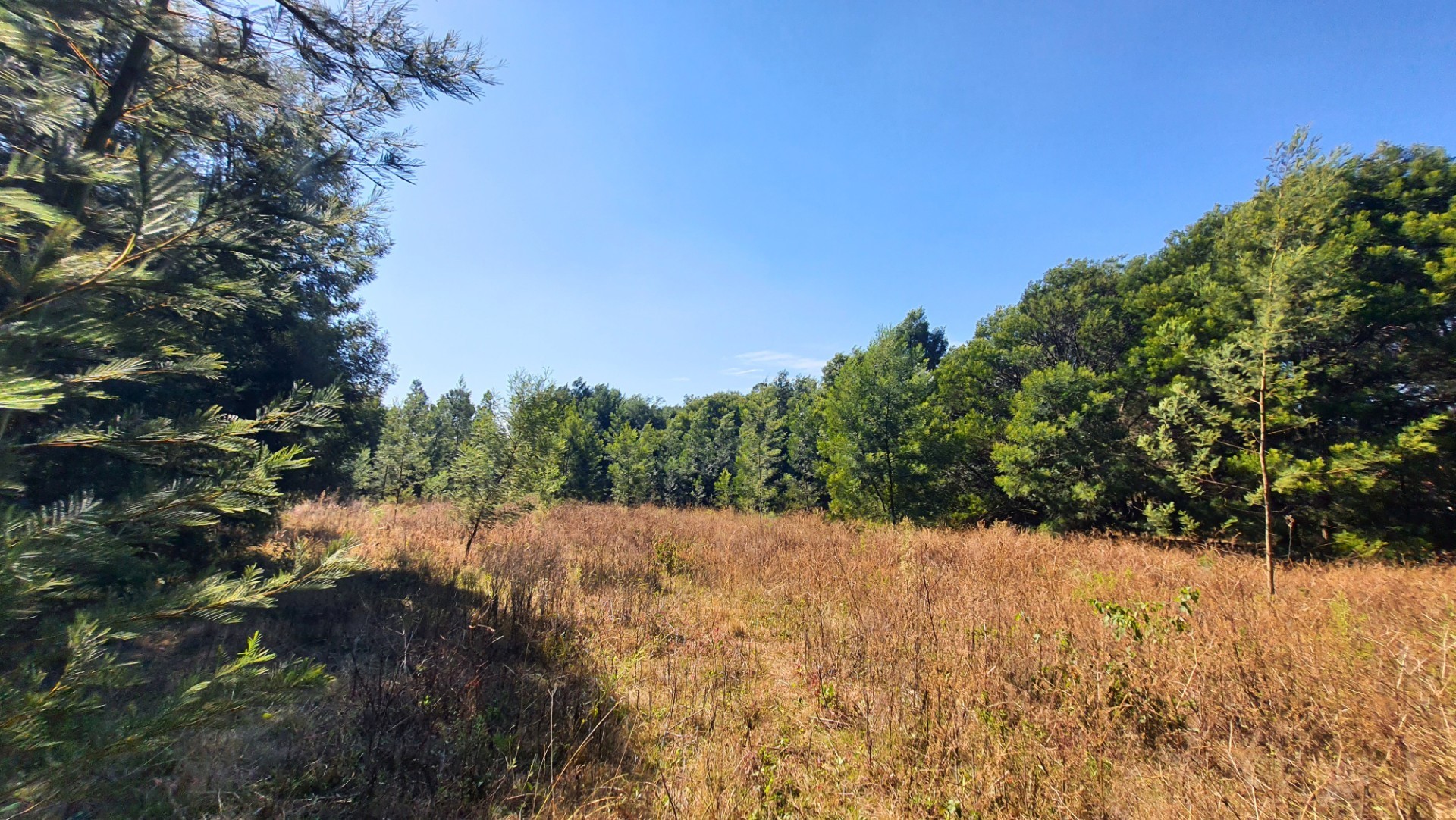 Prime Open Land in Mooikloof - Build Your Dream Home