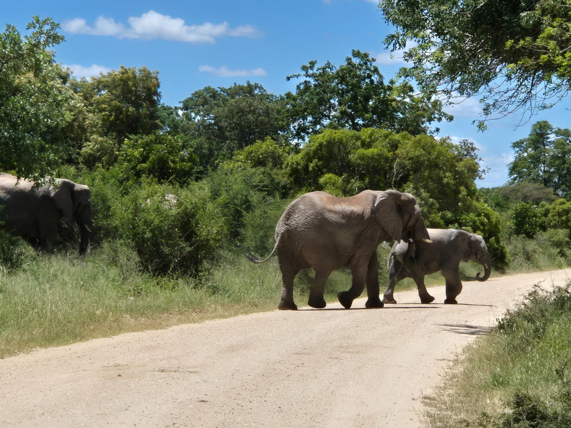 Modern Brand Knew House For Sale Moditlo Wildlife Estate, Hoedspruit