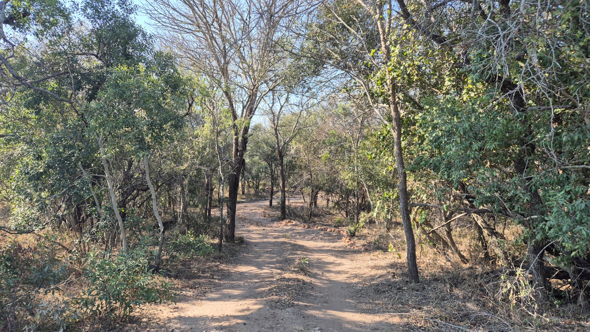 Modern Brand Knew House For Sale Moditlo Wildlife Estate, Hoedspruit