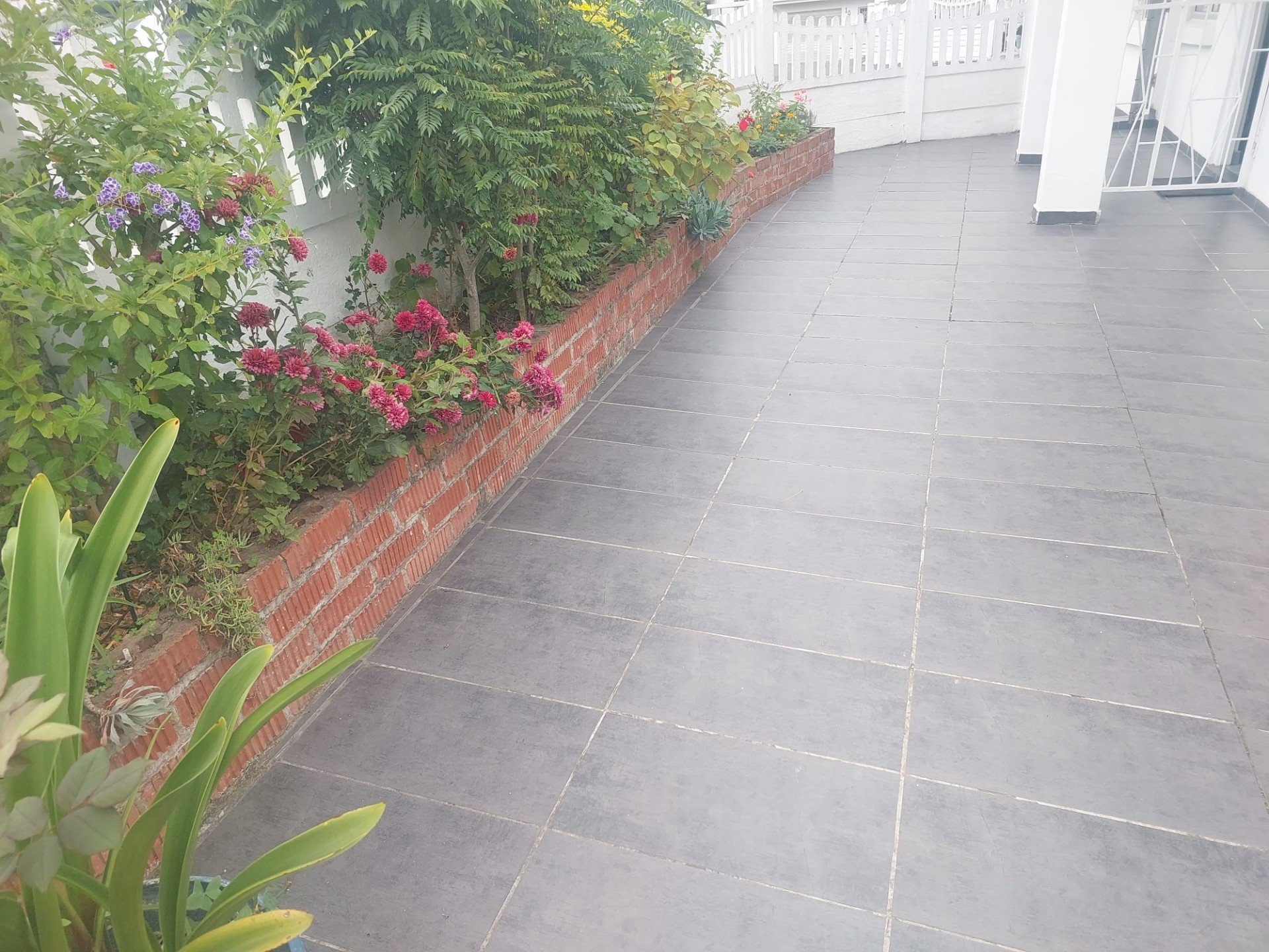 Simplex For Sale