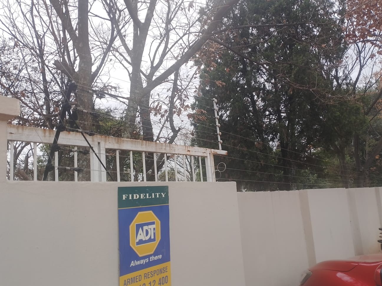 Set on an expansive 1,548 sqm stand property for sale in Buccleuch