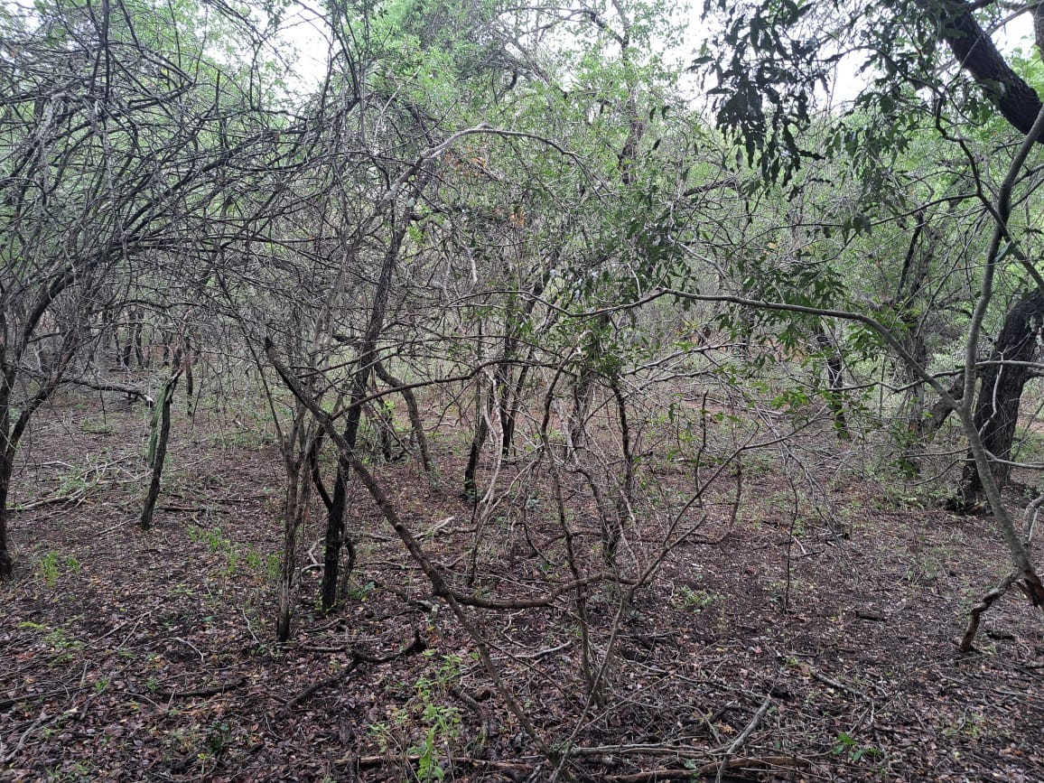 Vacant Land For Sale in Marloth Park Mpumalanga