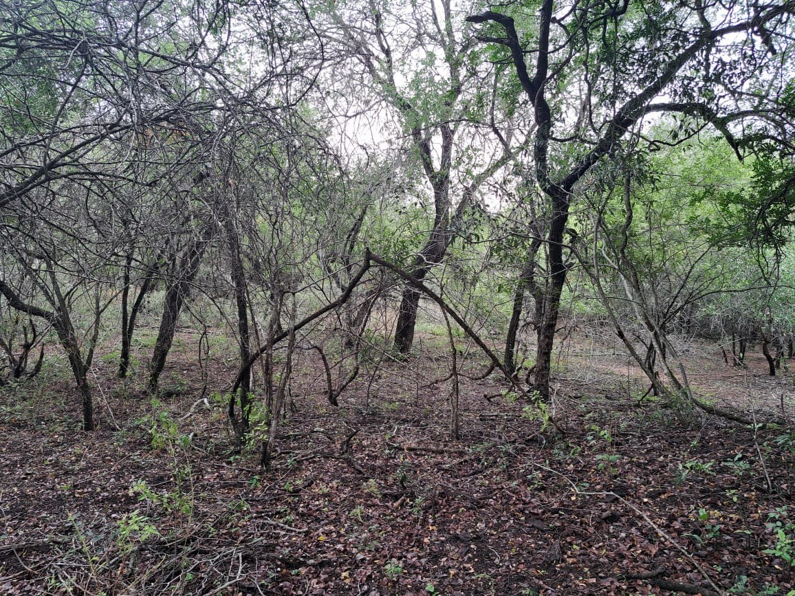 Vacant Land For Sale in Marloth Park Mpumalanga